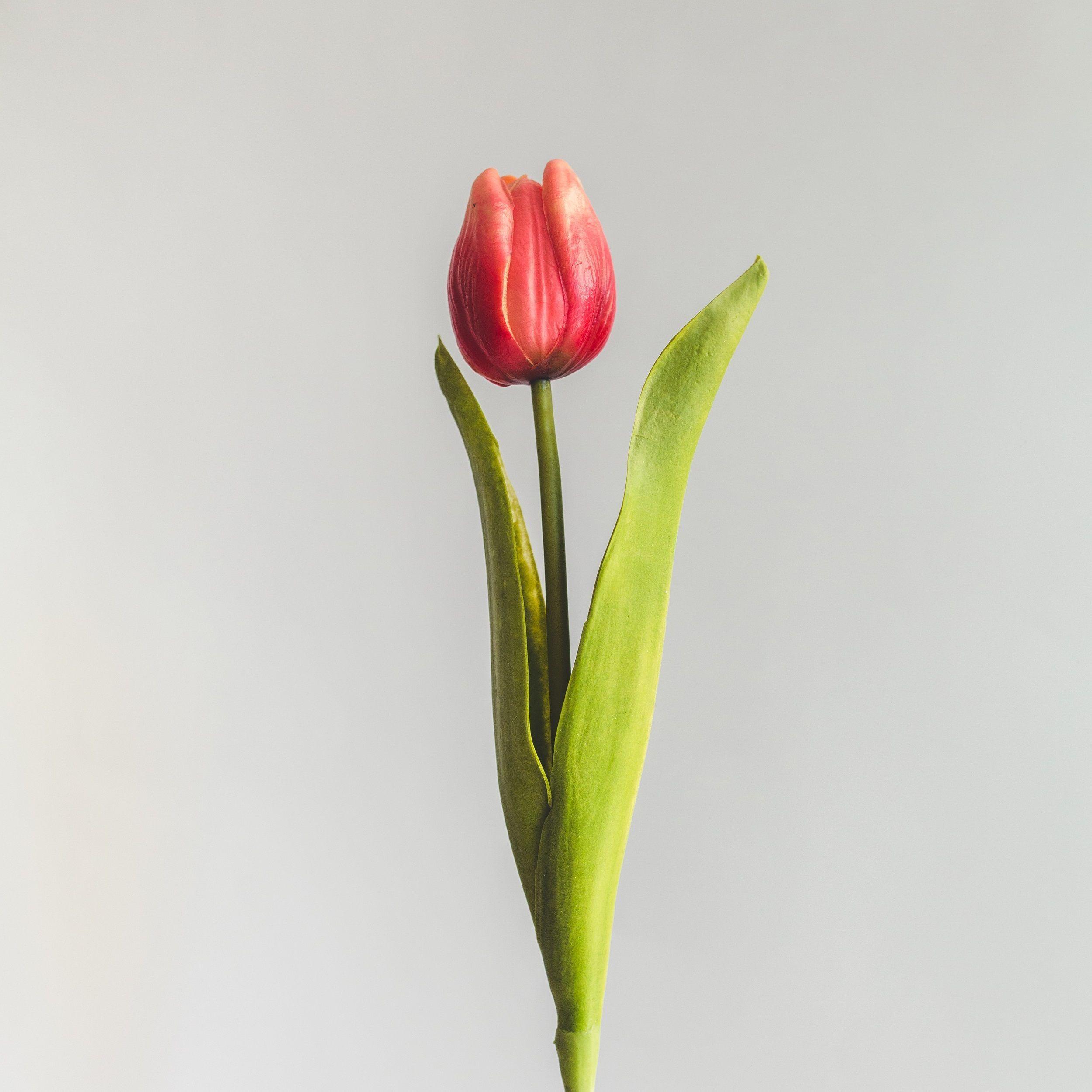 Tulipan Rojo Flor Artificial by Le Bouquet 48 cm-2