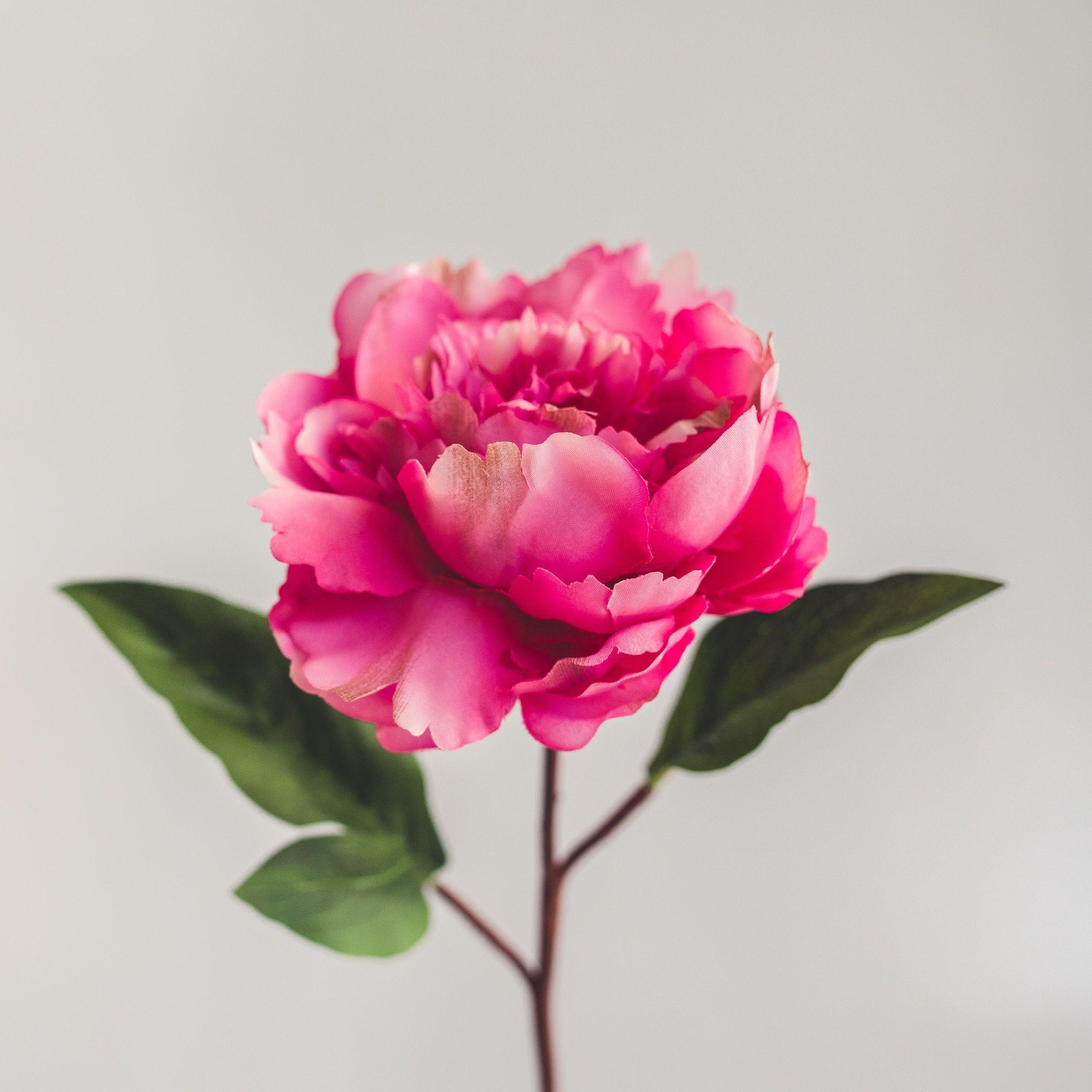 Peonia Fucsia Flor Artificial by Le Bouquet 66 cm-2