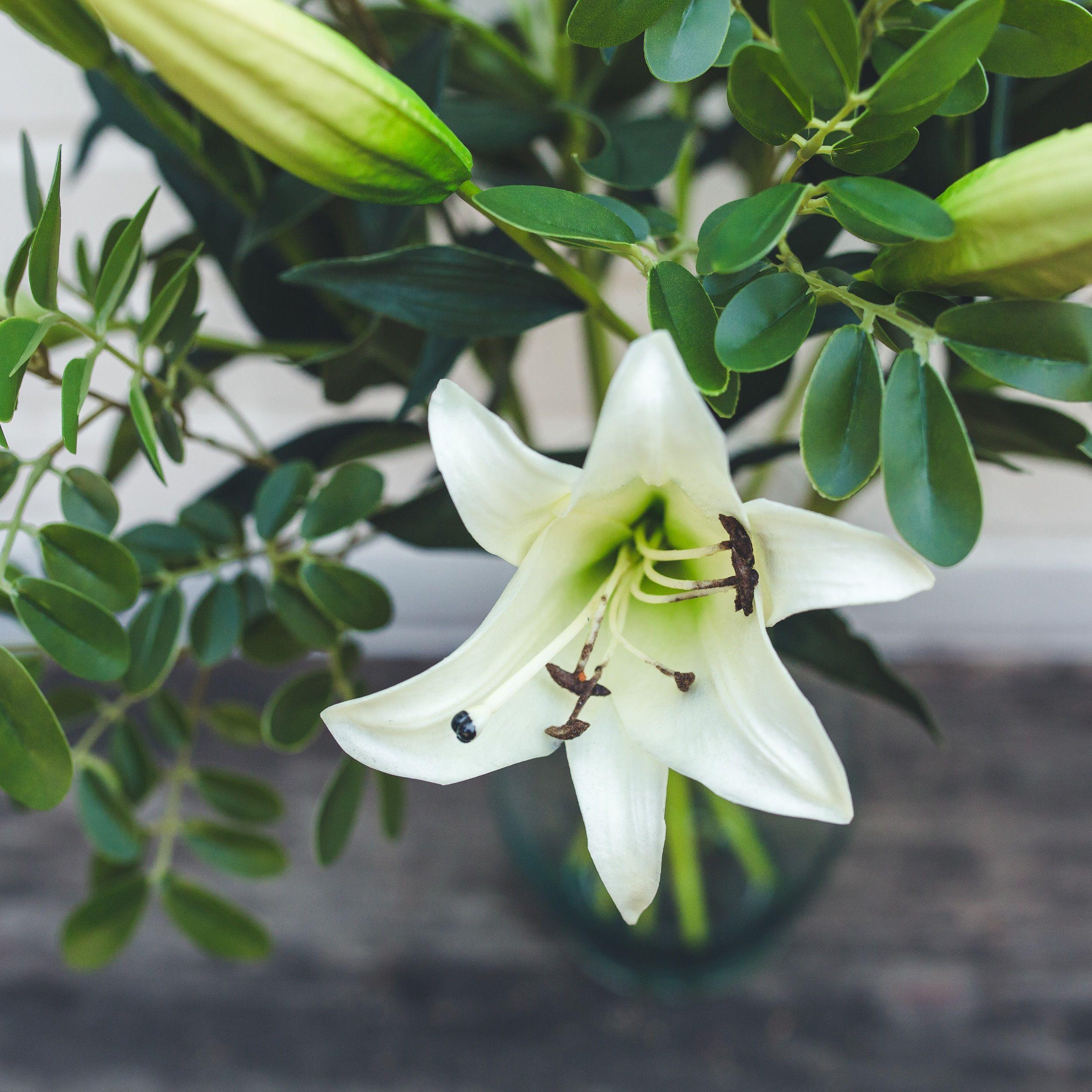 Lilium Blanco Flor Seda Artificial 76 Cm-4