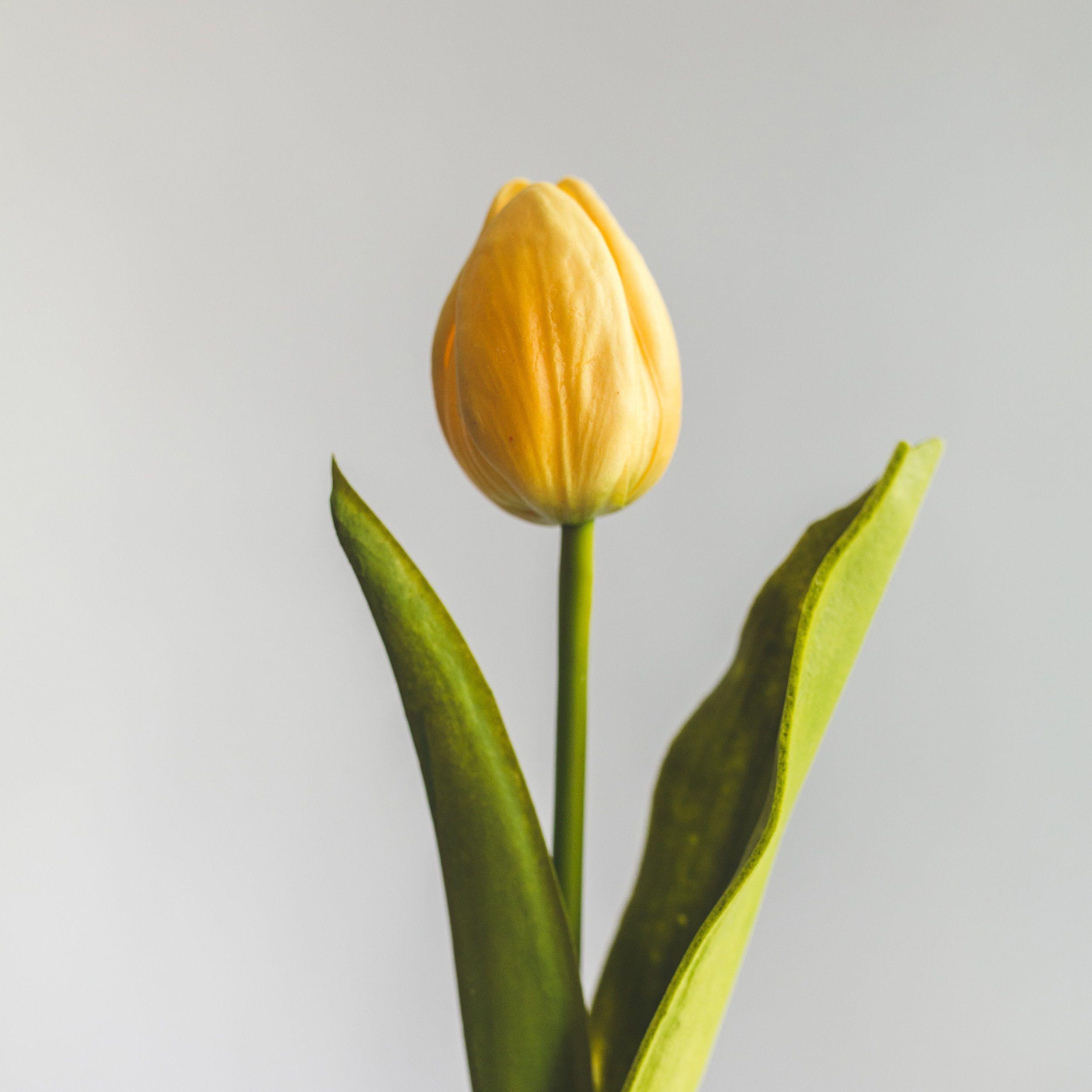 Tulipan Amarillo Flor Artificial by Le Bouquet 48 cm-1