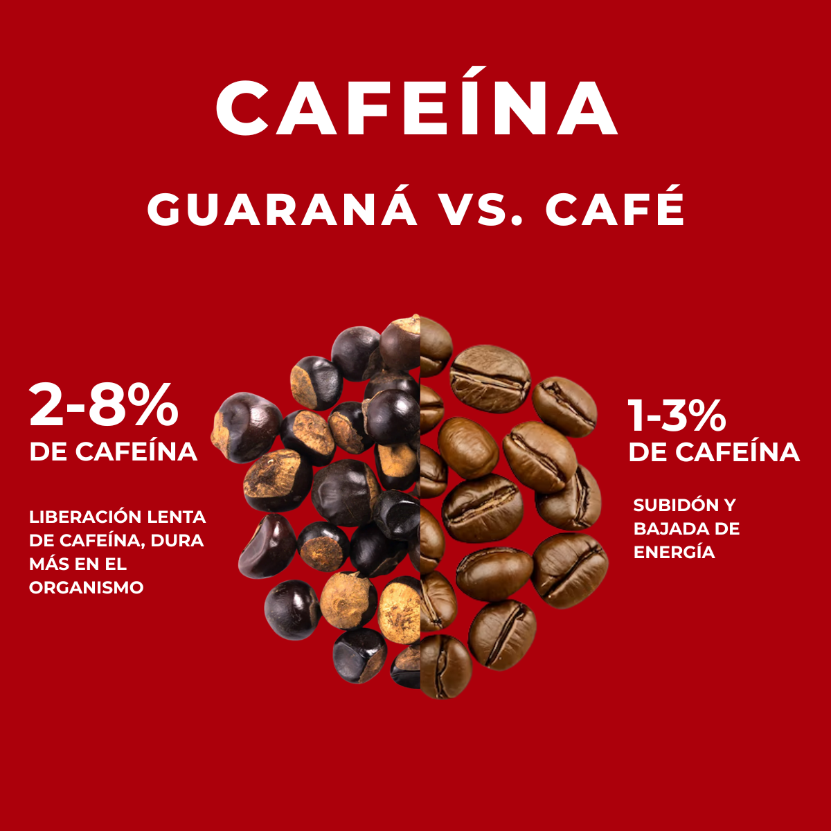 Guaraná en Polvo Energy 100 g-2