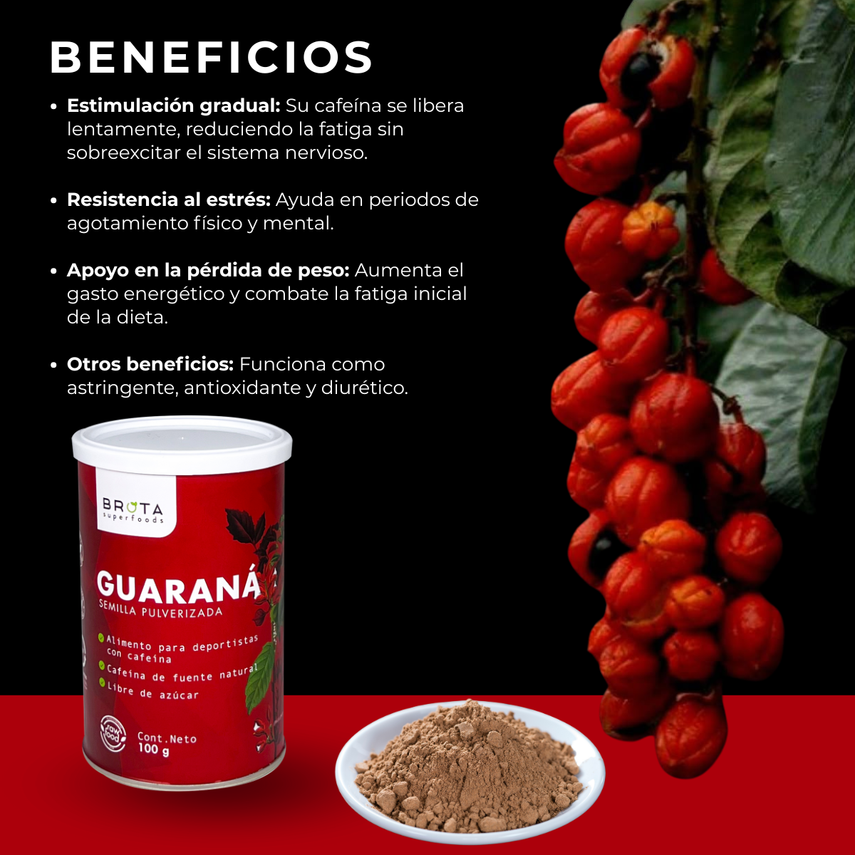 Guaraná en Polvo Energy 100 g-3