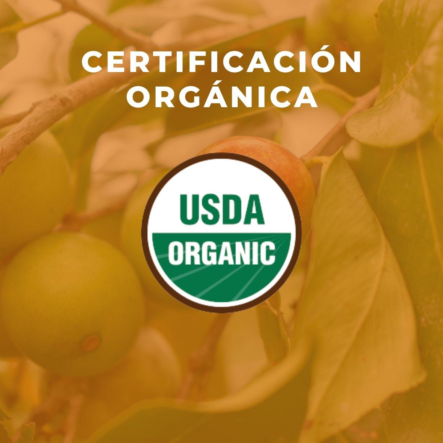 Camu Camu orgánico 100 g-2