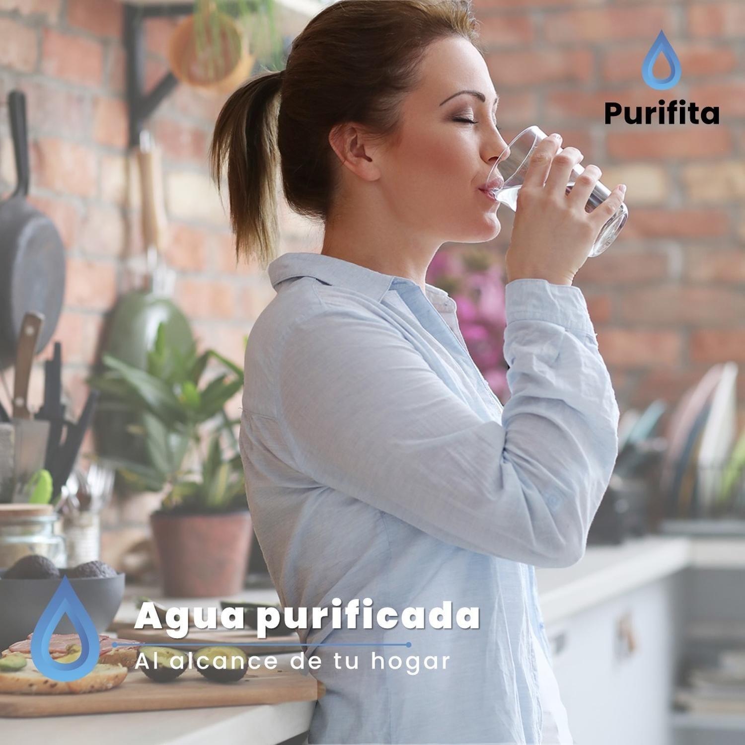 Filtro Purificador de Agua para Jarra Repuesto Purifita x6-9