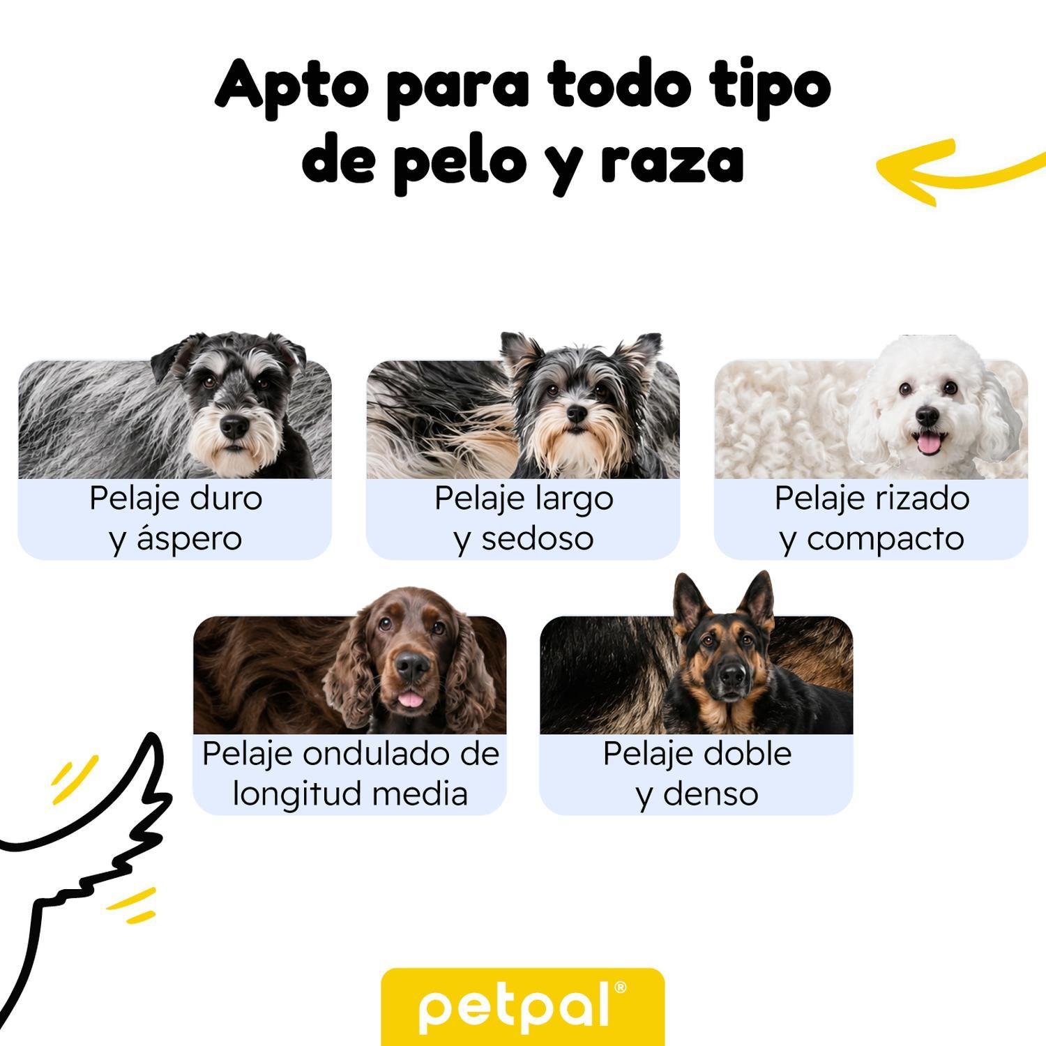 Máquina Cortar Pelo Perro Profesional Petpal Recortadora USB-5