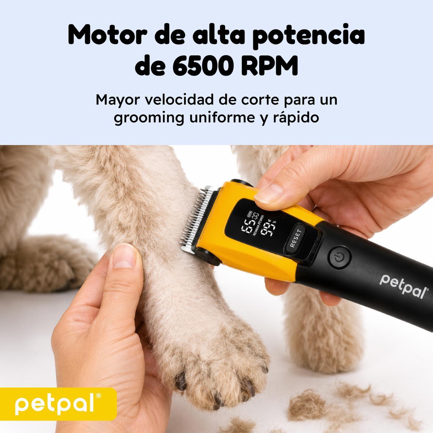 Máquina Cortar Pelo Perro Profesional Petpal Recortadora USB-7