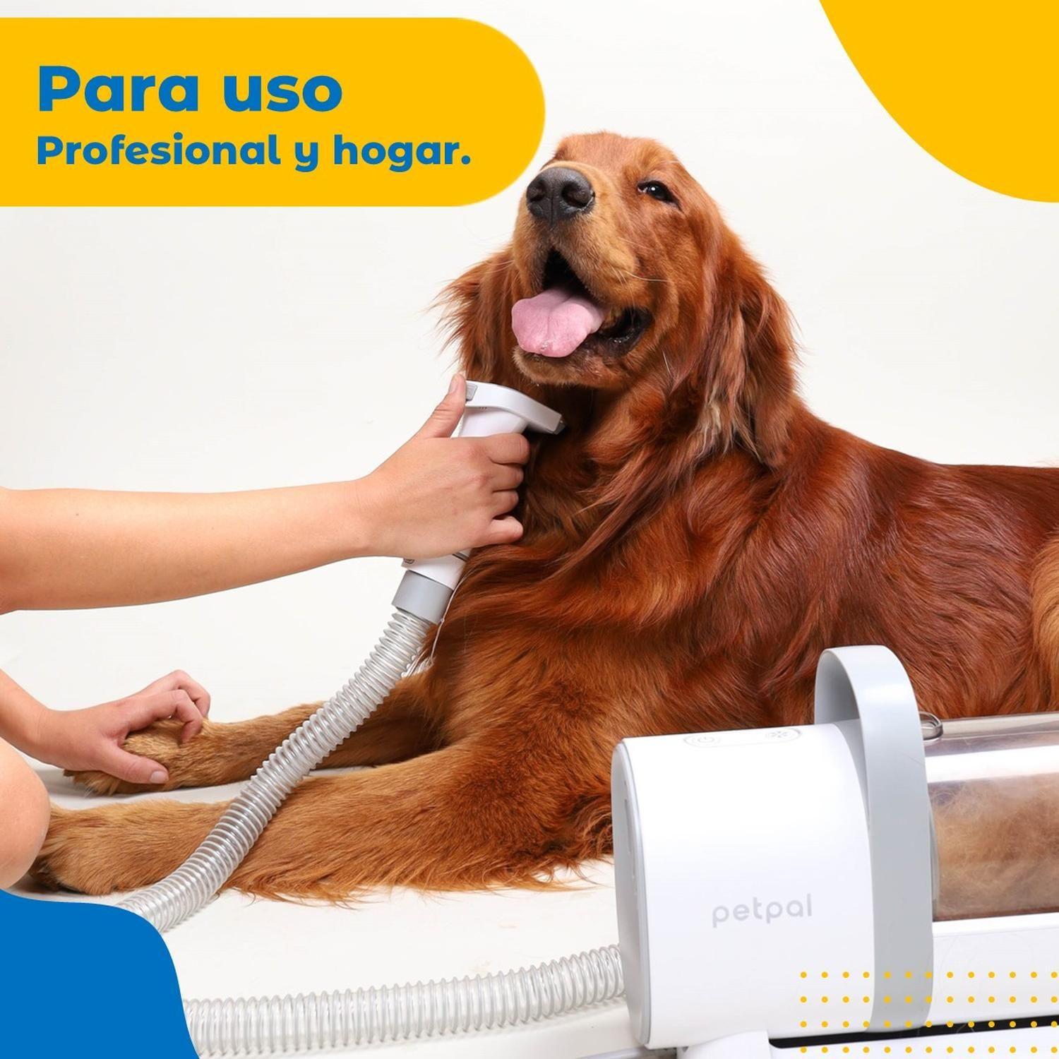 Maquina Corta Pelo y Aspiradora Profesional Perro Gato Petpal-3