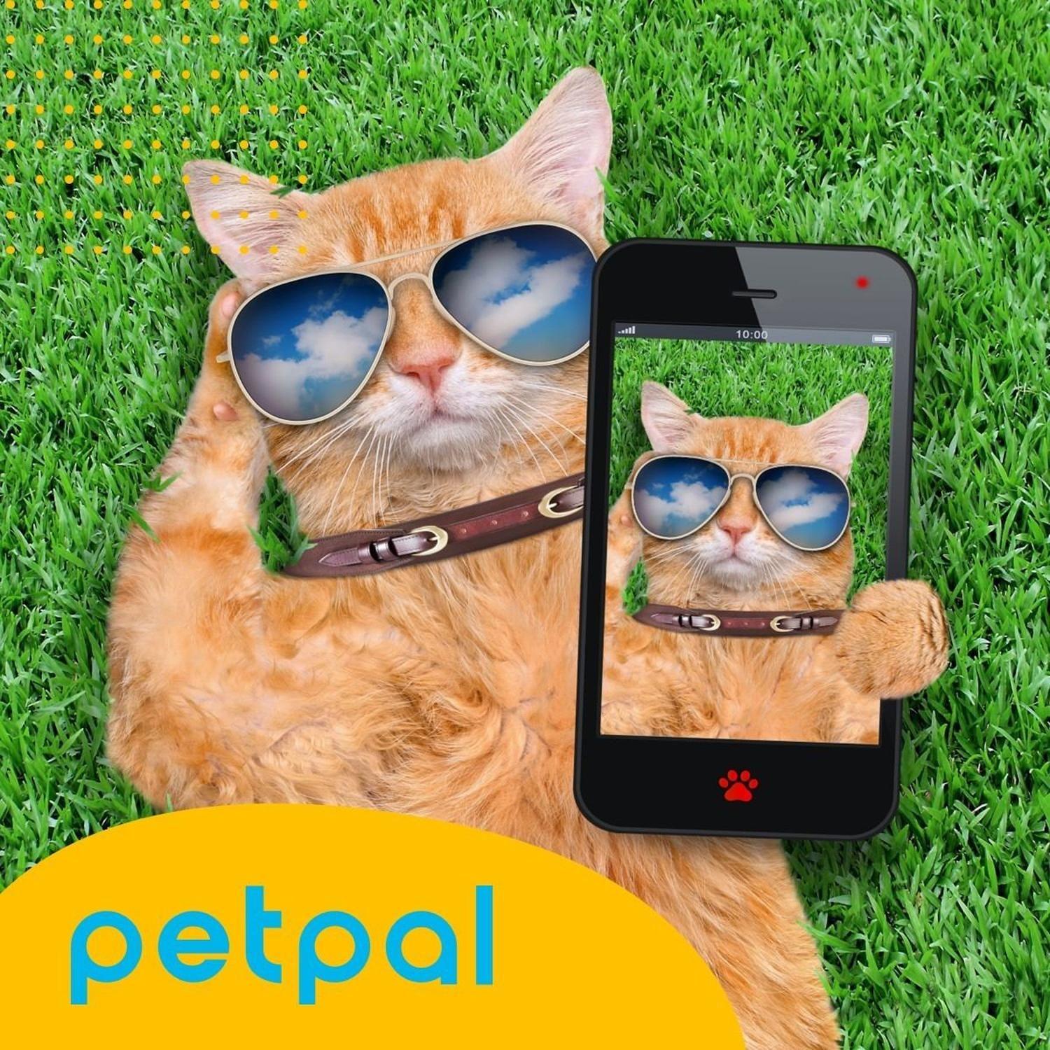 Corta Uñas Corta Pelo Para Perro Gato Set Belleza Recargable-8