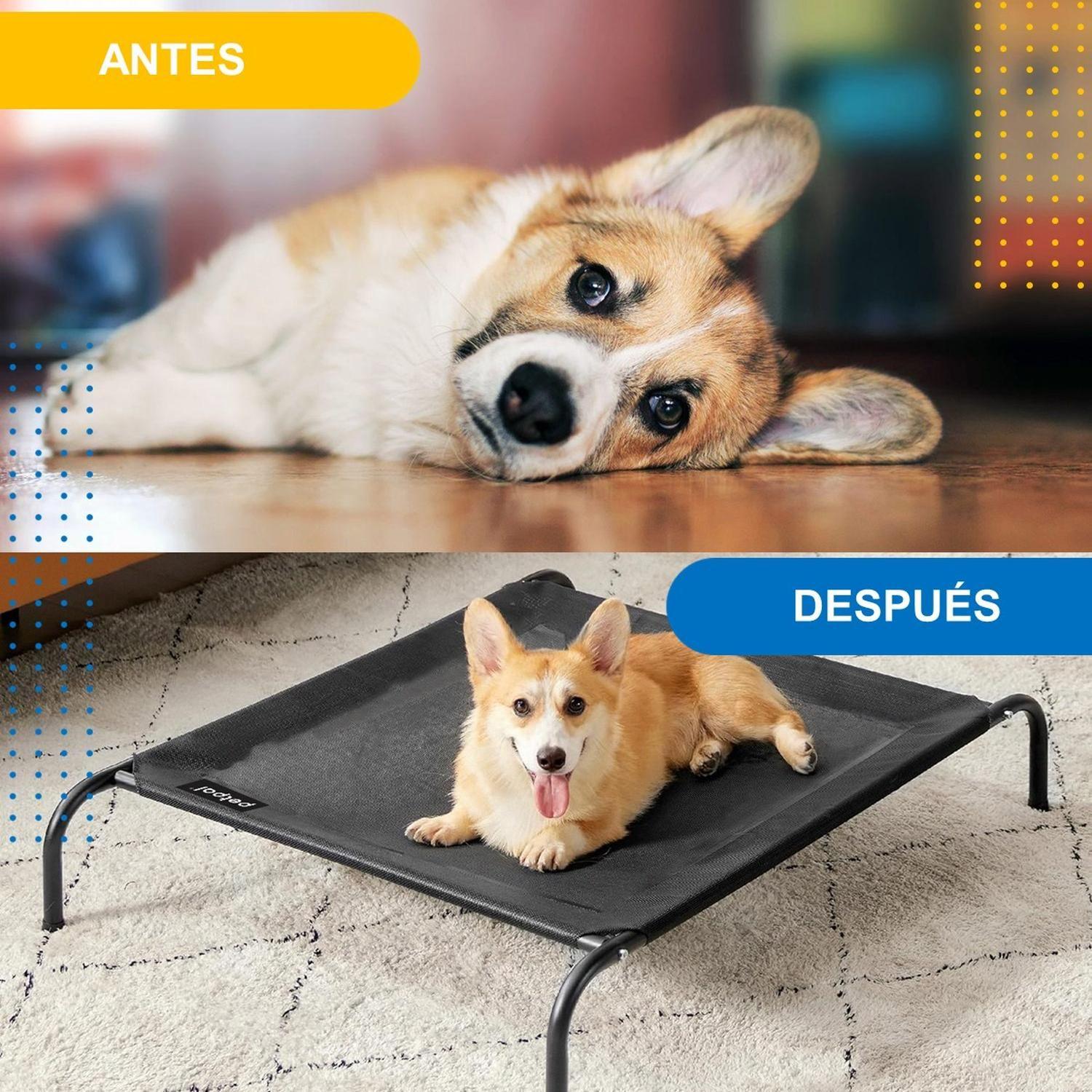 Cama Perro Gato Mascota Elevada Altura Refrescante Petpal-4