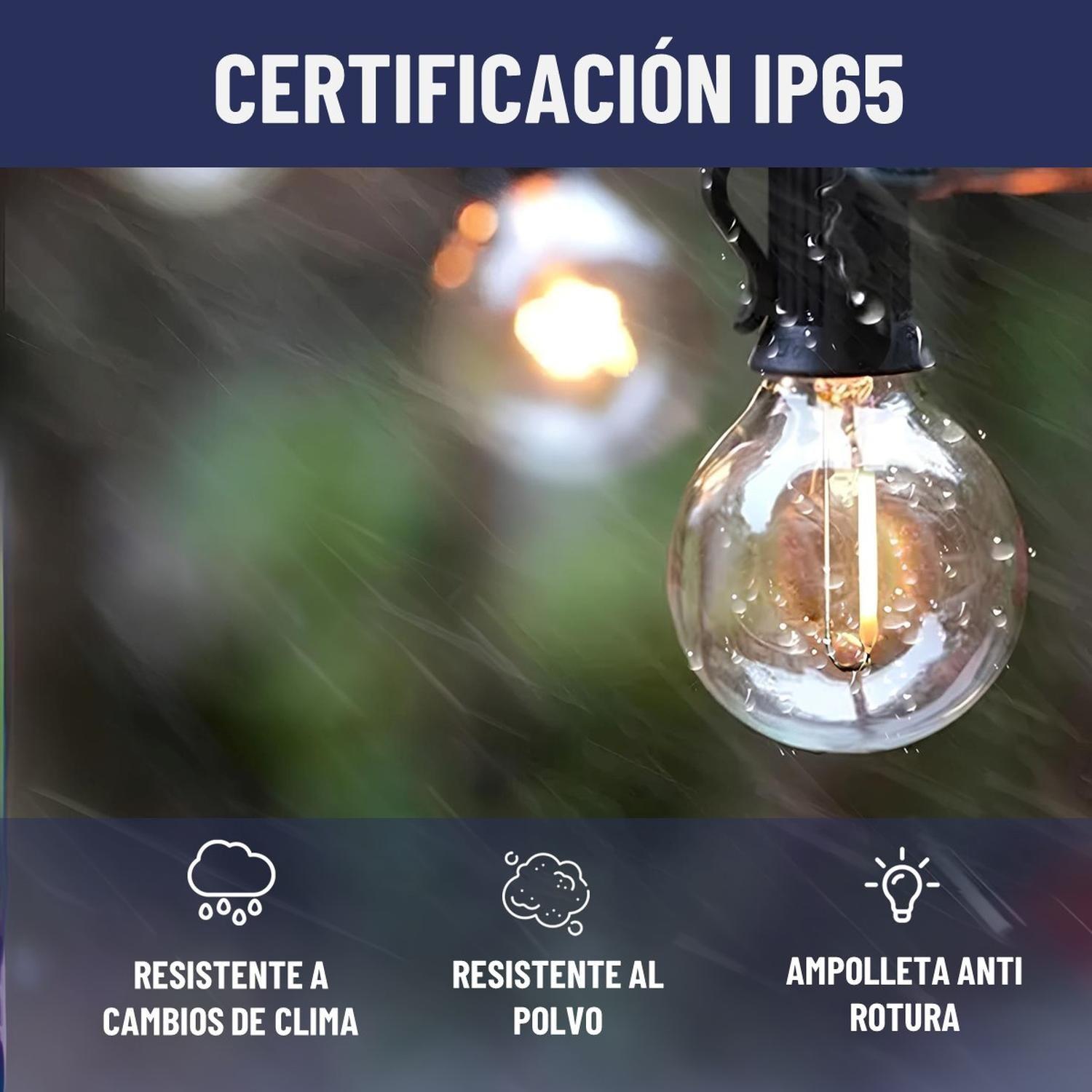 Ampolletas Led Set de 10 G40 Maxwell para Guirnalda-3