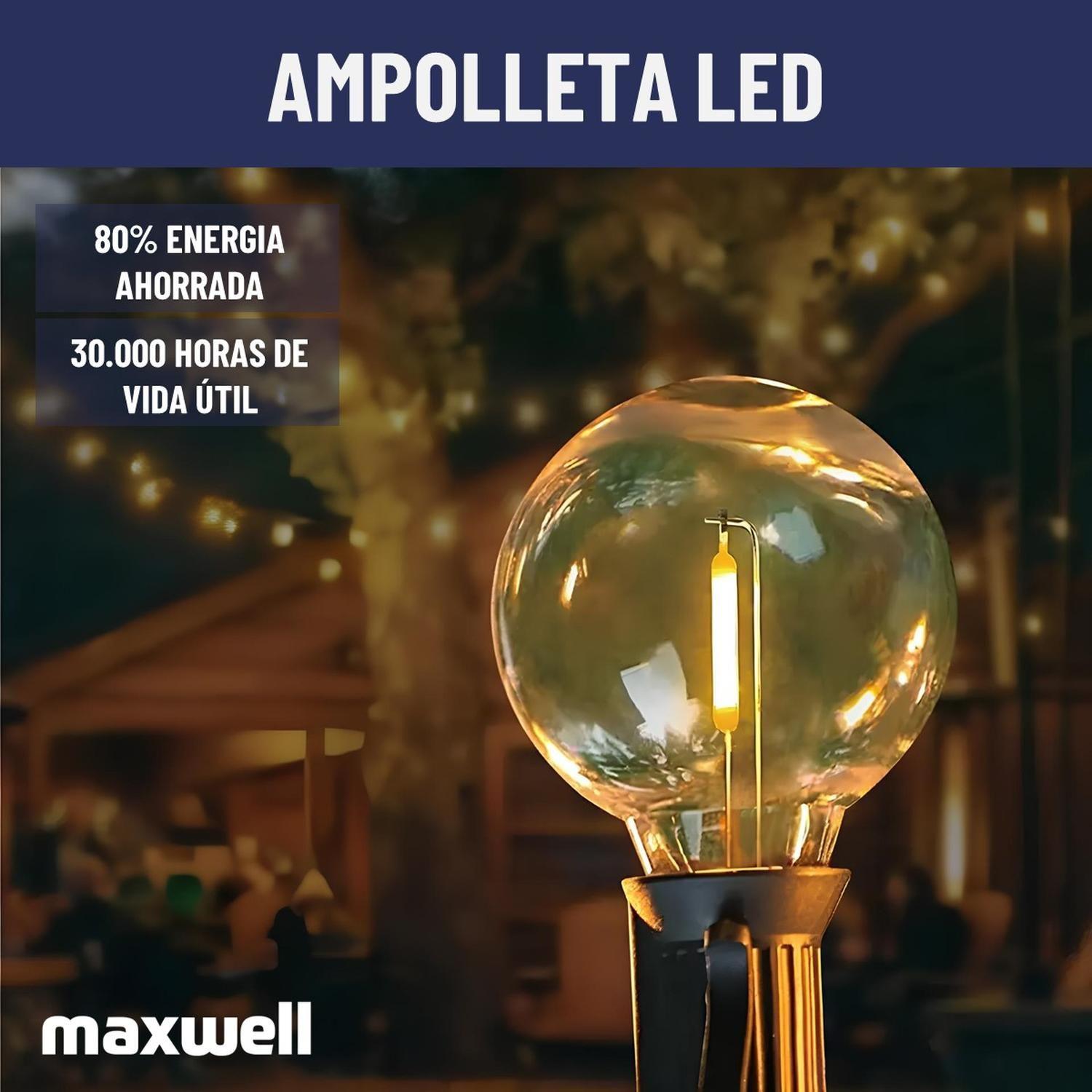 Ampolletas Led Set de 10 G40 Maxwell para Guirnalda-4