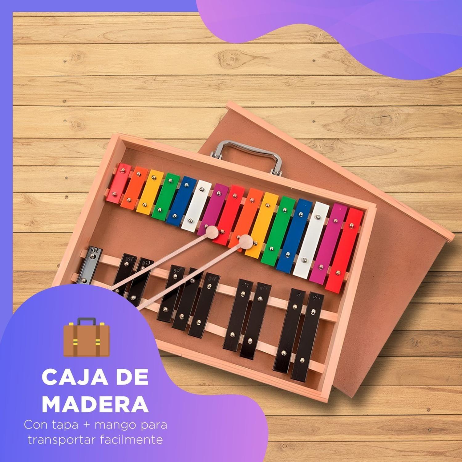 Metalofono Xilofono 25 Notas de Colores Melody con Maleta-2