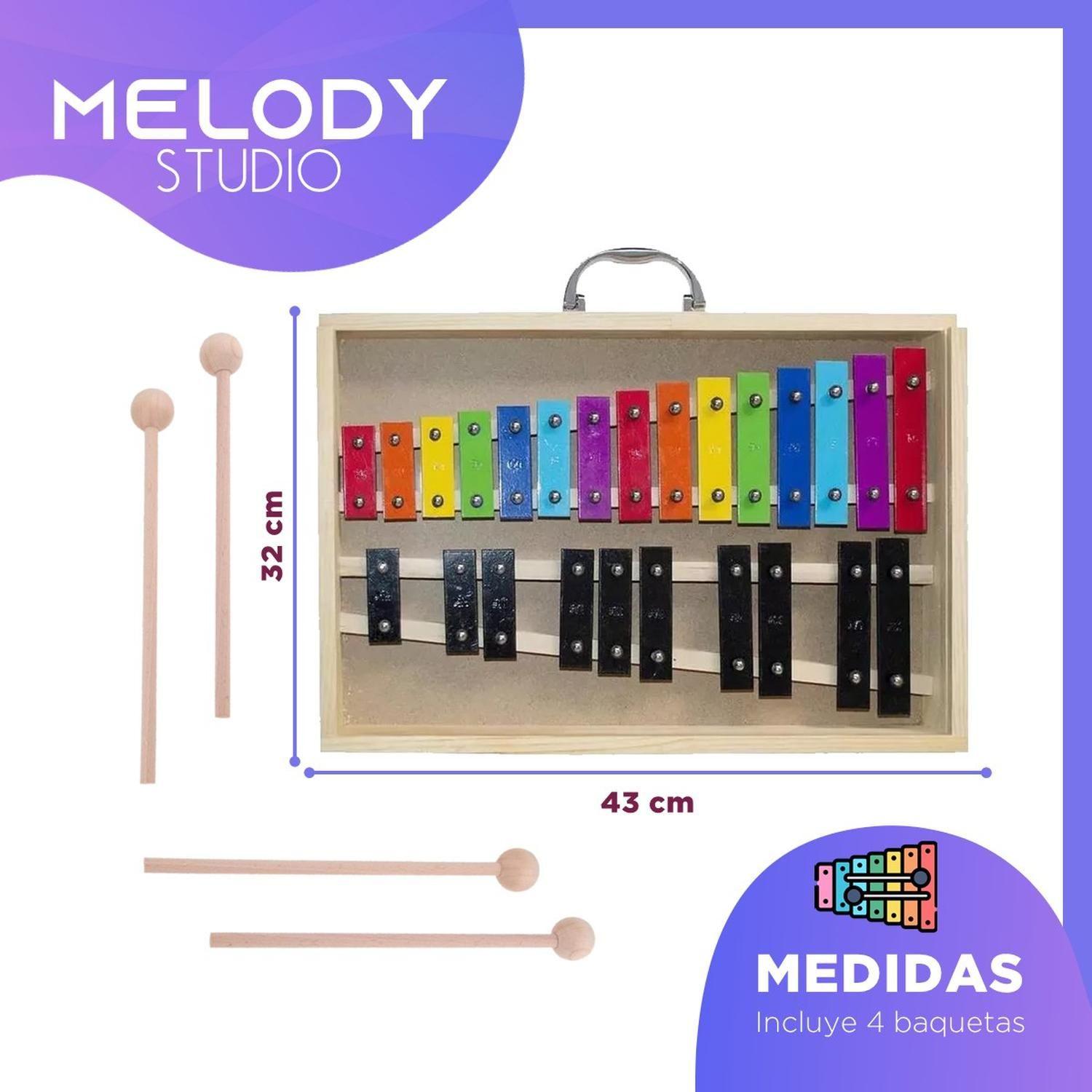 Metalofono Xilofono 25 Notas de Colores Melody con Maleta-5