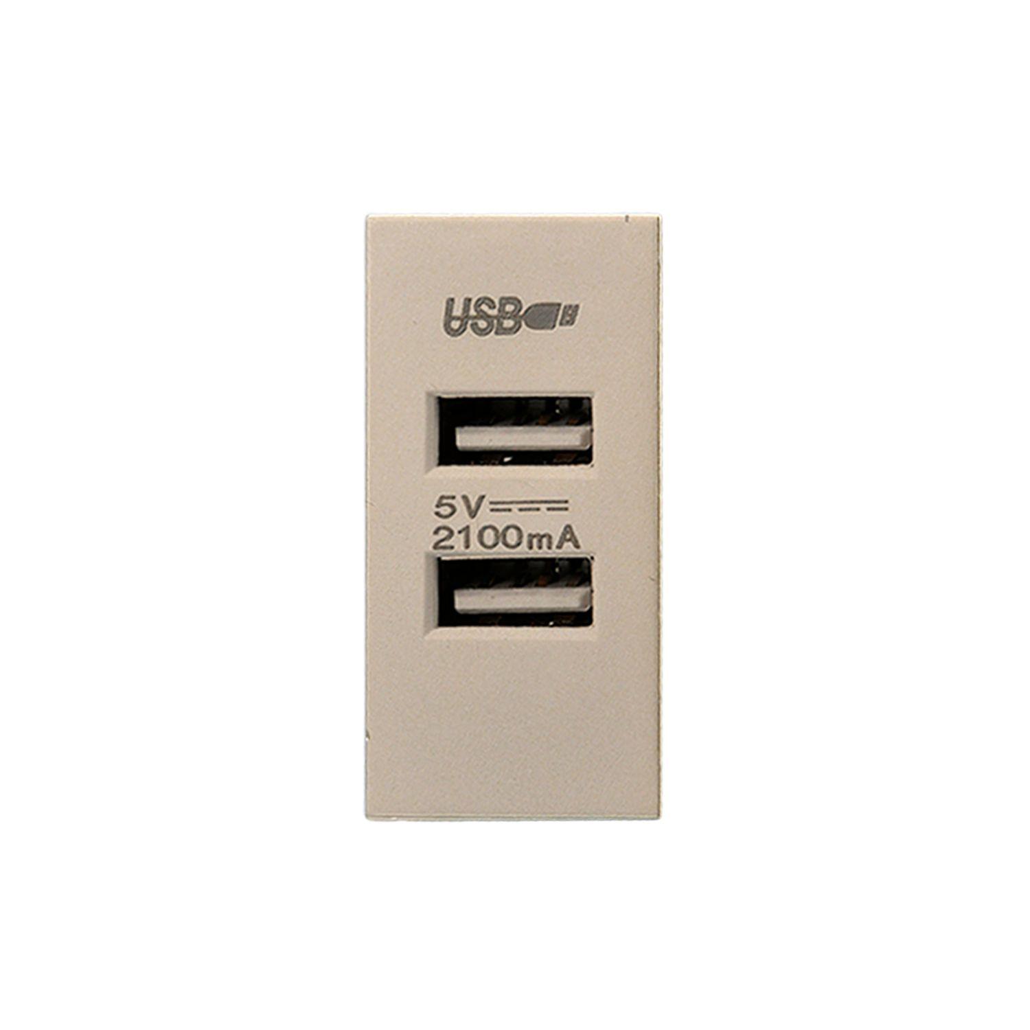 Pack 20 Módulo USB Doble Metálico 250V - Dorado-3