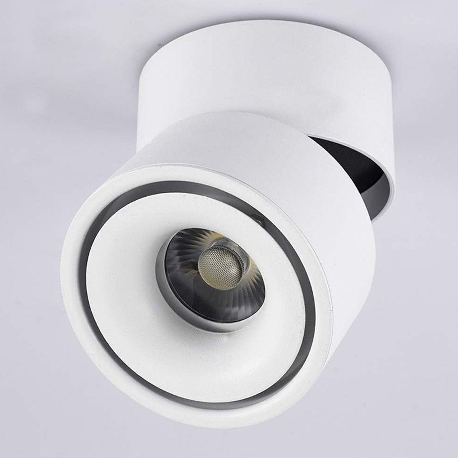 Apliqué LED Redondo Dirigible Blanco 10W-3