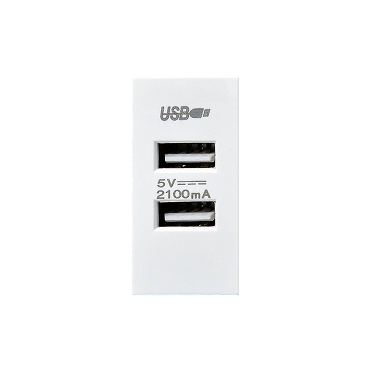 Pack 20 Módulo USB Doble Metálico 250V - Blanco-3