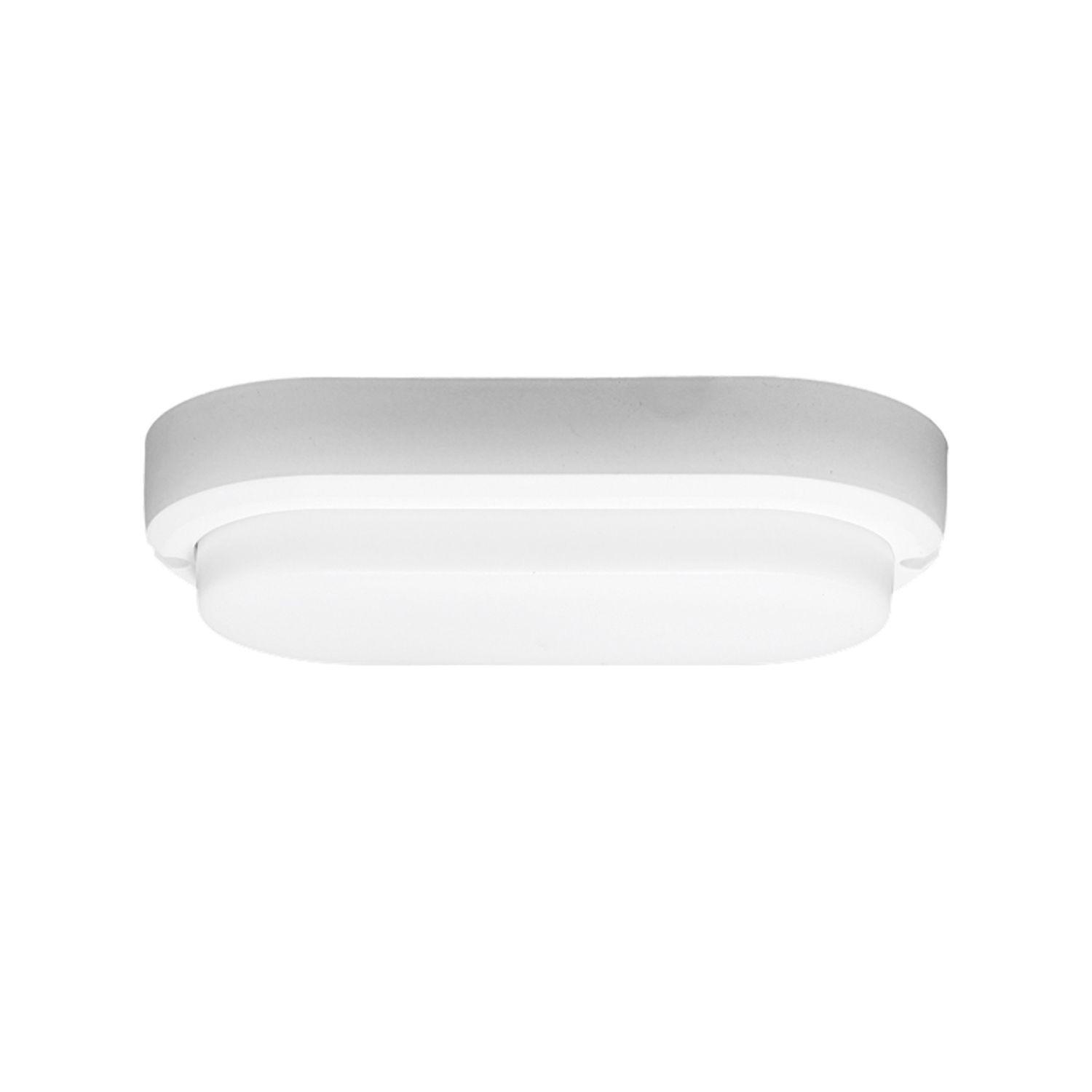 Foco LED Tortuga 10W Blanco Frío-3