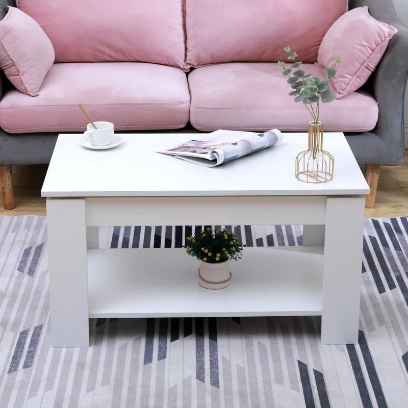 Mesa de Centro Minimalista con Espacios de Almacenamiento 10-2