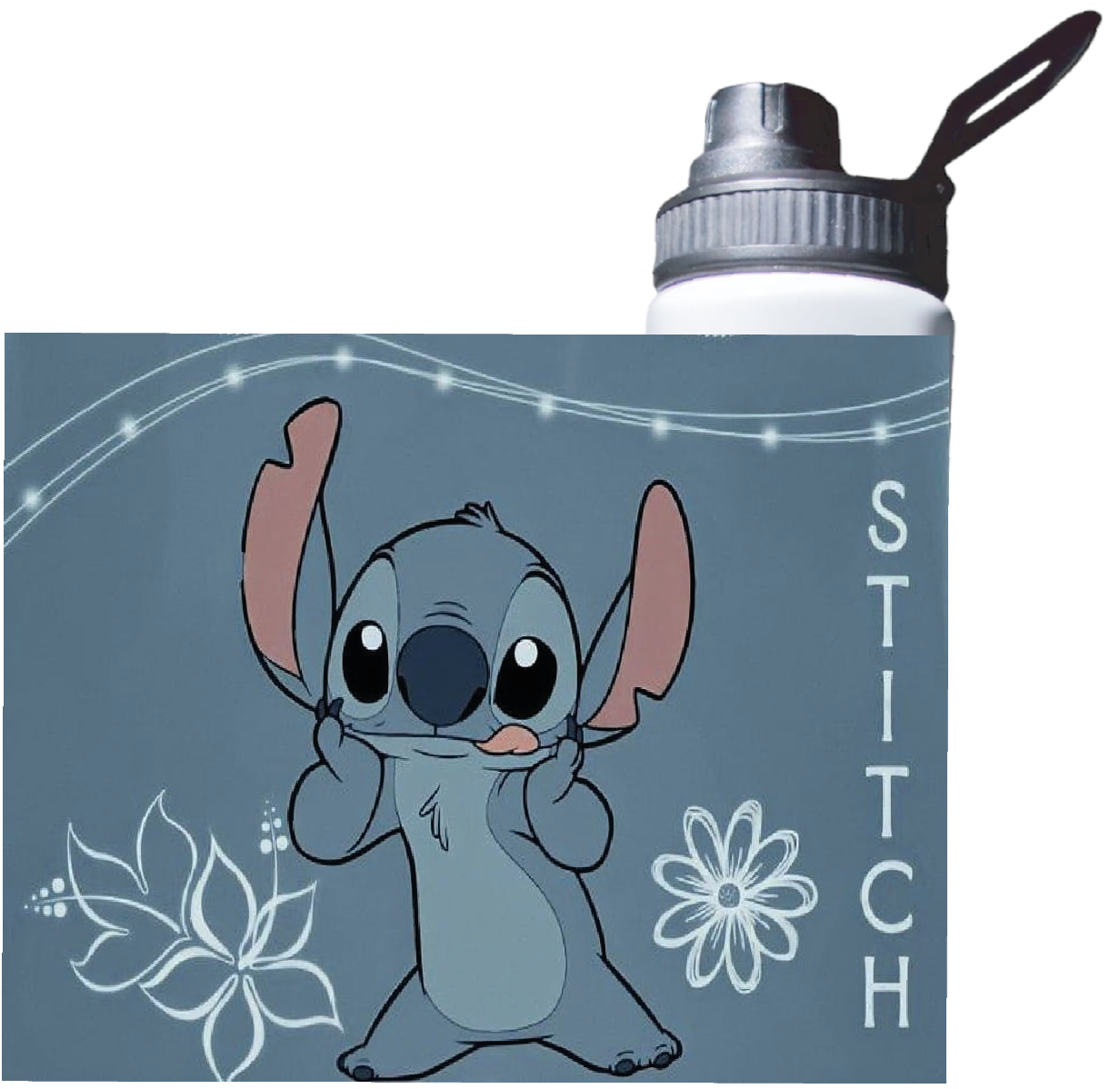BOTELLA DE AGUA ESTAMPADA DE STITCH, ALIENS, CINE 1 REGALO  850ML-1