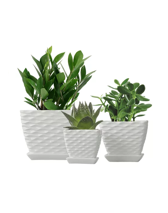 Macetero Plástico Redondo 30cm Siena Jardineras-3