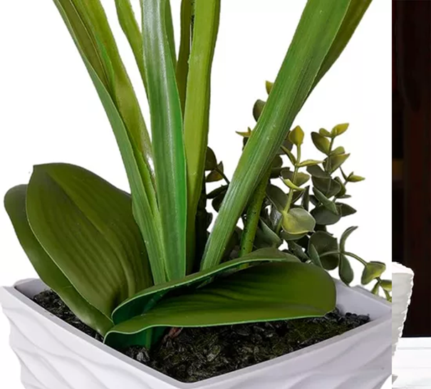Macetero Plástico Redondo 30cm Siena Jardineras-6