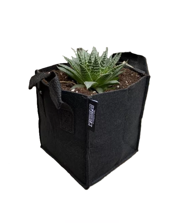Macetas Geotextil Sweetpot 7L Gran Calidad Pack de 10-2