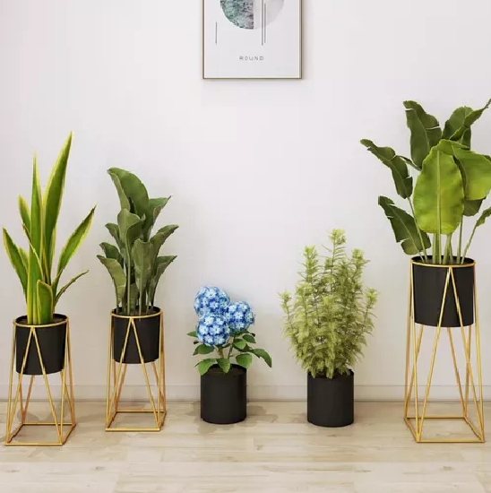 Porta Macetero Pedestal Negro y Dorado para Plantas-4