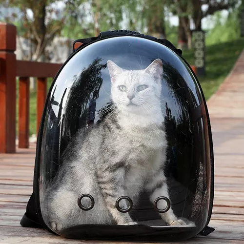 Mochila transportadora transparente para mascotas perros y gatos-2