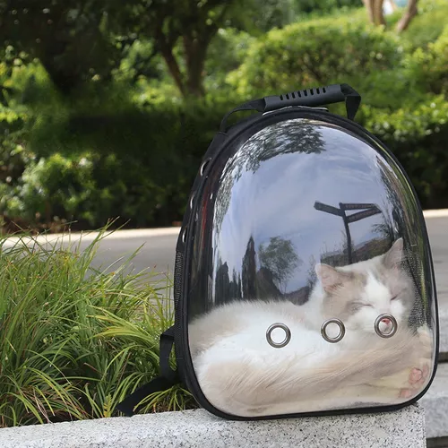 Mochila transportadora transparente para mascotas perros y gatos-3