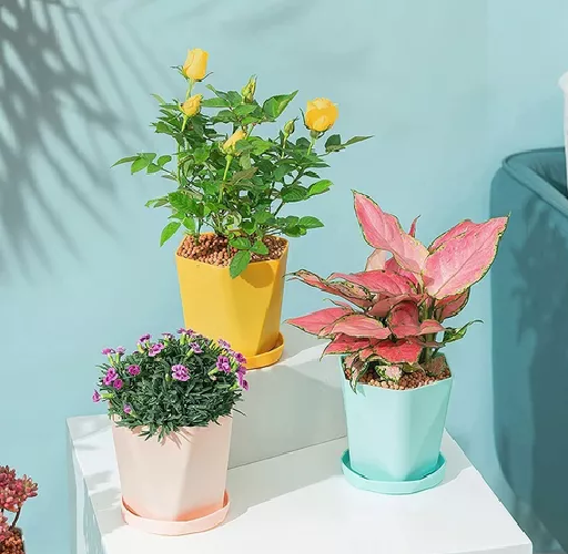 6 Moldes para Jardineras Pequeñas Moldes para Plantas-5