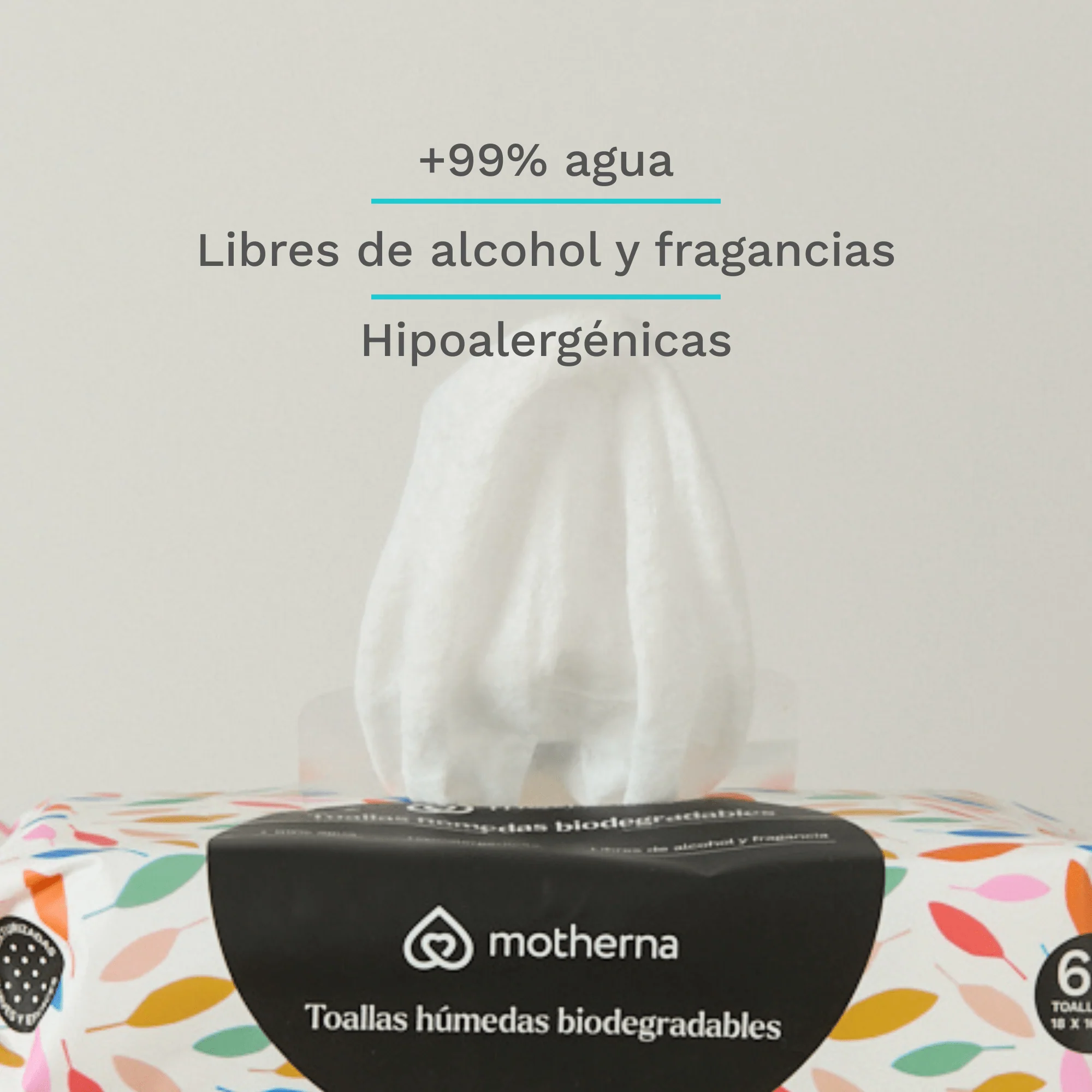 Toallitas Húmedas Motherna Caja 6x60 Unidades Diseño Hojas-1