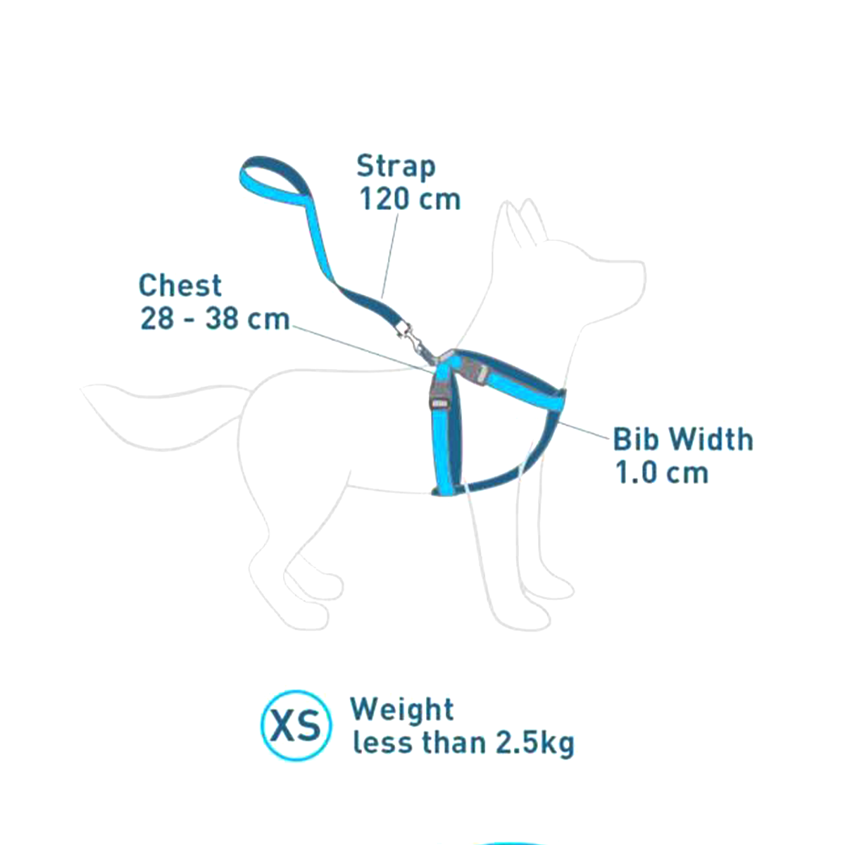 Arnés perro Talla XS Verde-1