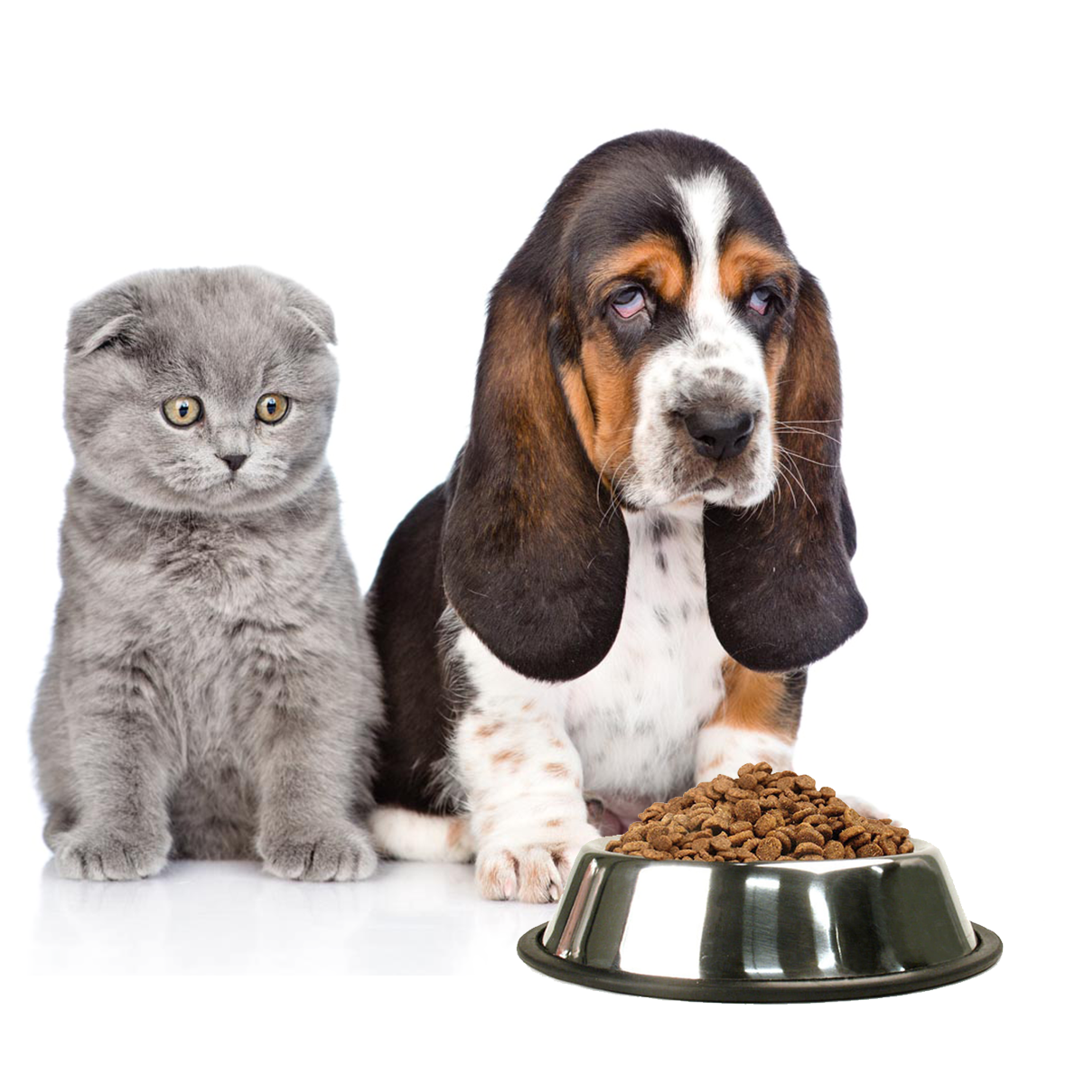 Plato para perro y gato 18 cm acero inoxidable-3