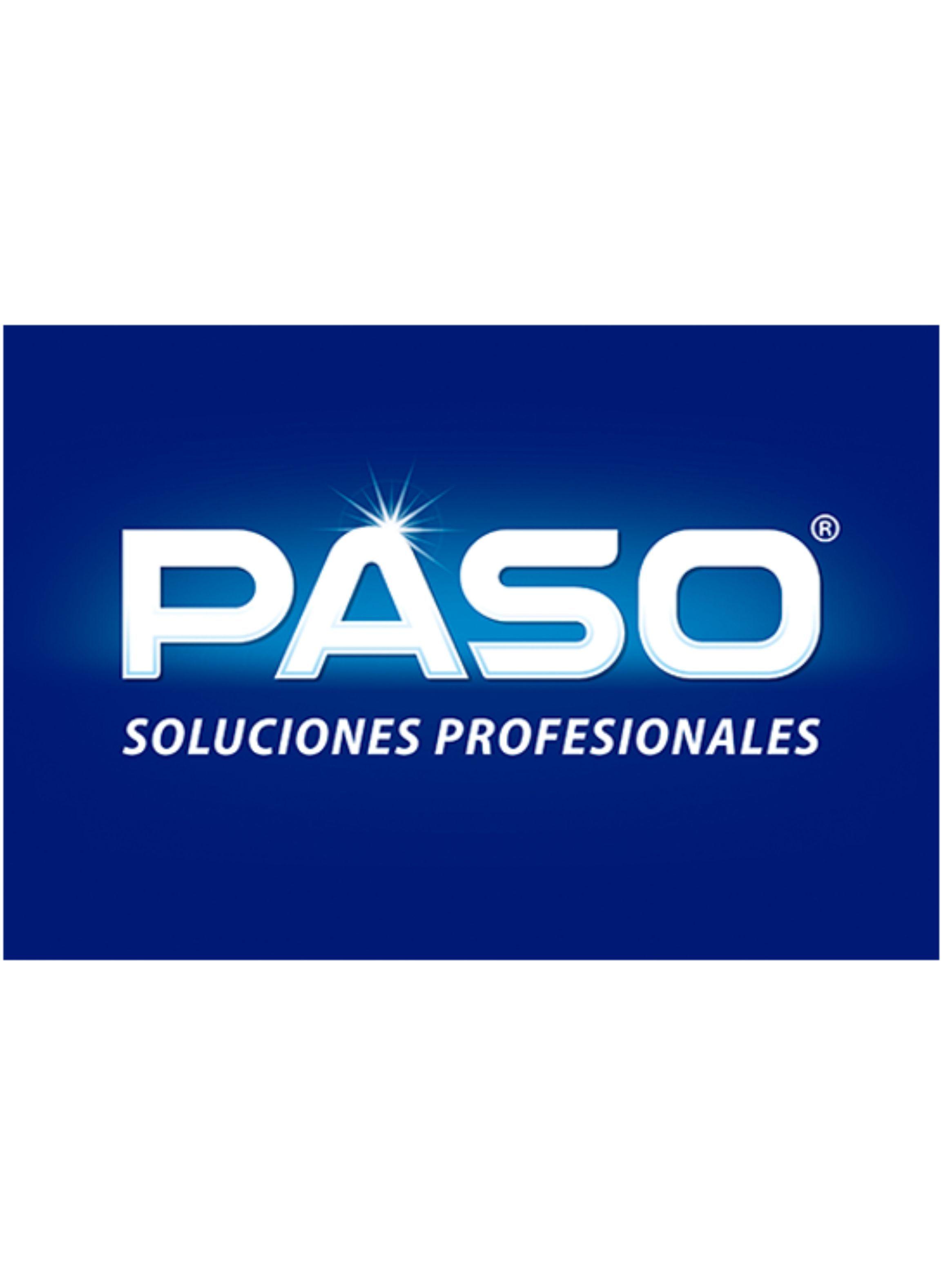 Quita mancha alfombras y tapices paso limpieza en seco 500ml-1