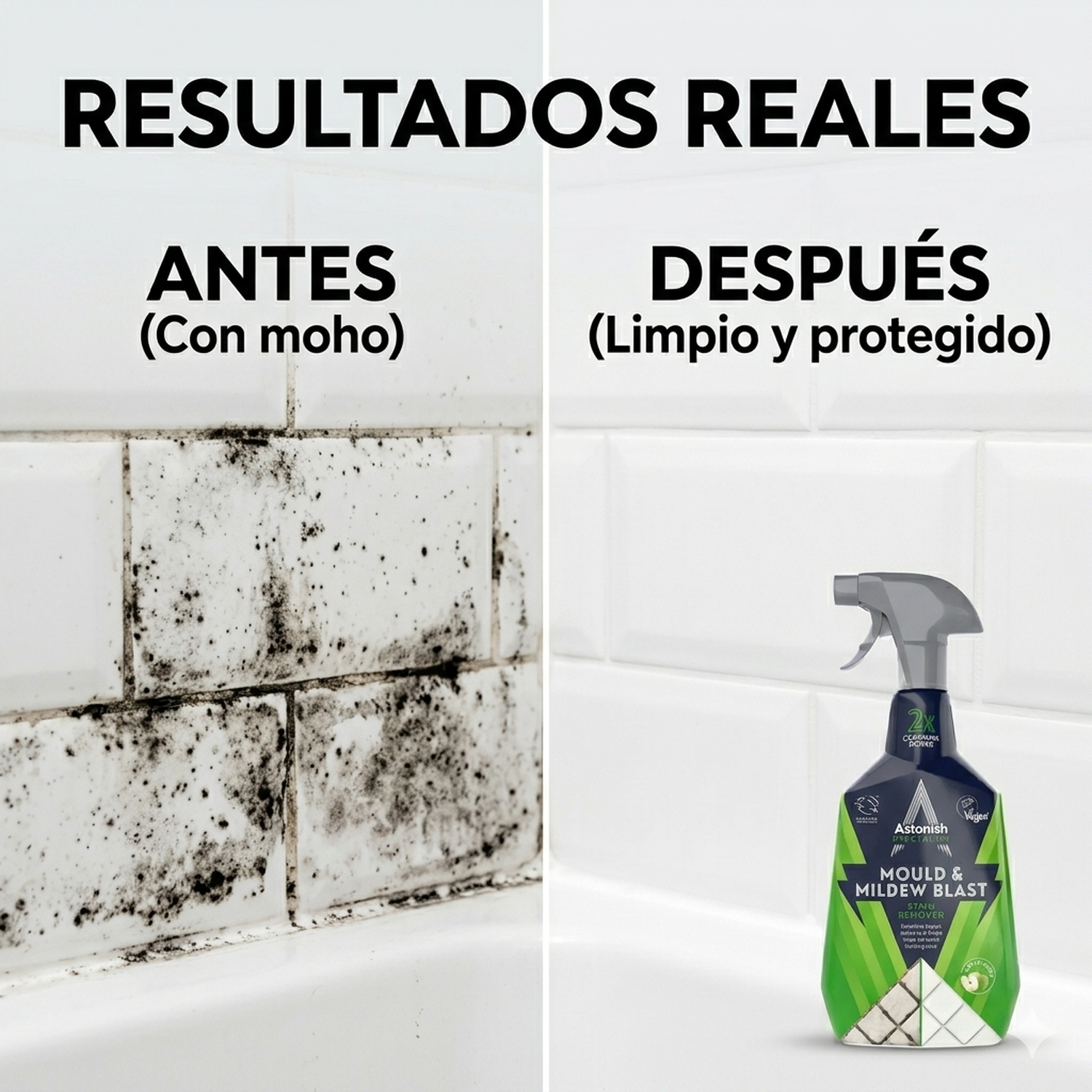 Astonish Eliminador Moho y Hongos Gatillo 750 Ml Antihongos-2