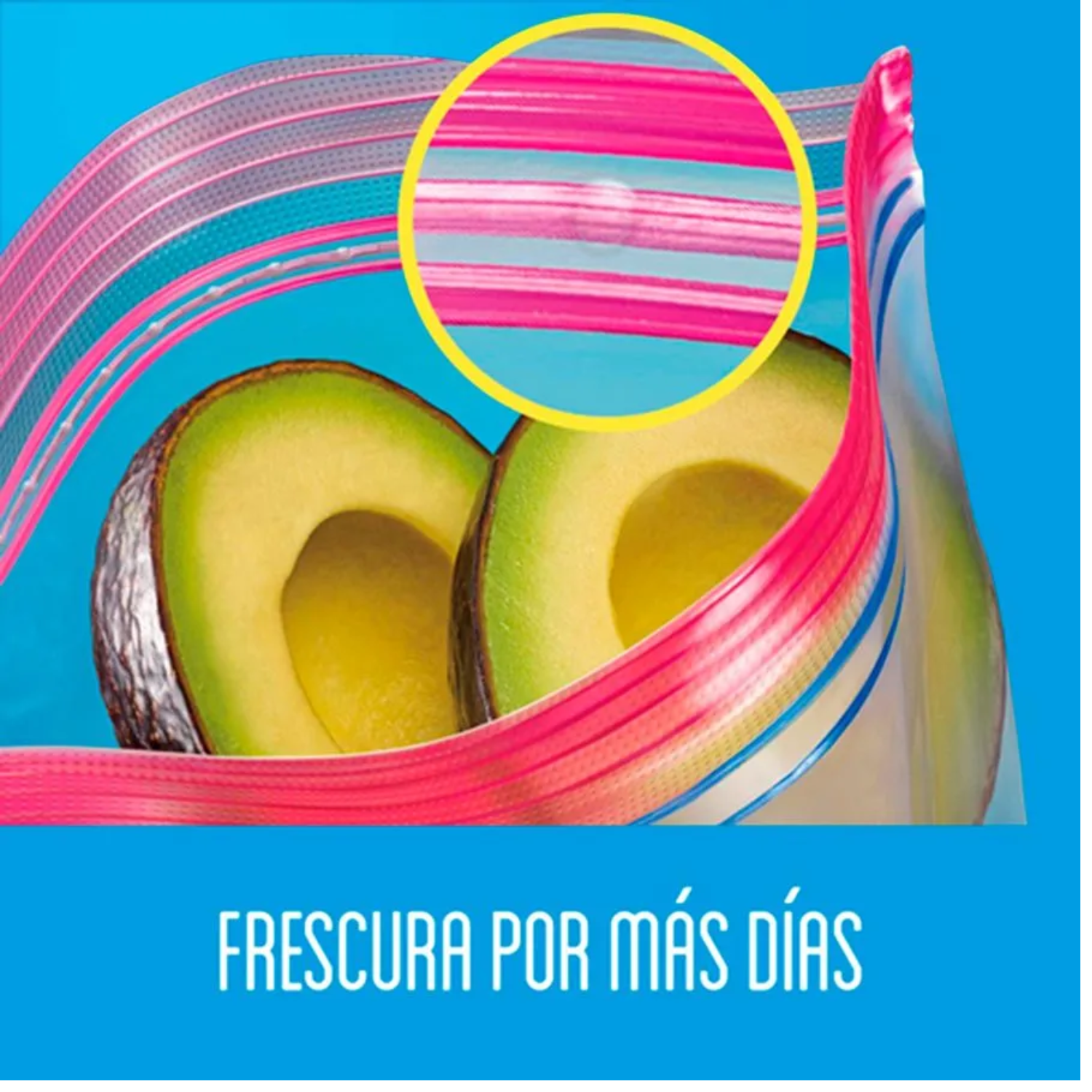 Bolsas Multiuso Para Conservar Ziploc Medianas 24 Unid-1