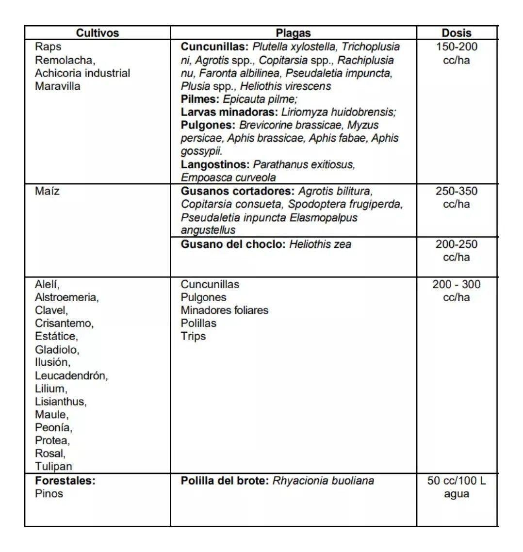 Control De Plagas Karate Con Tecnología Zeon 250ml-2