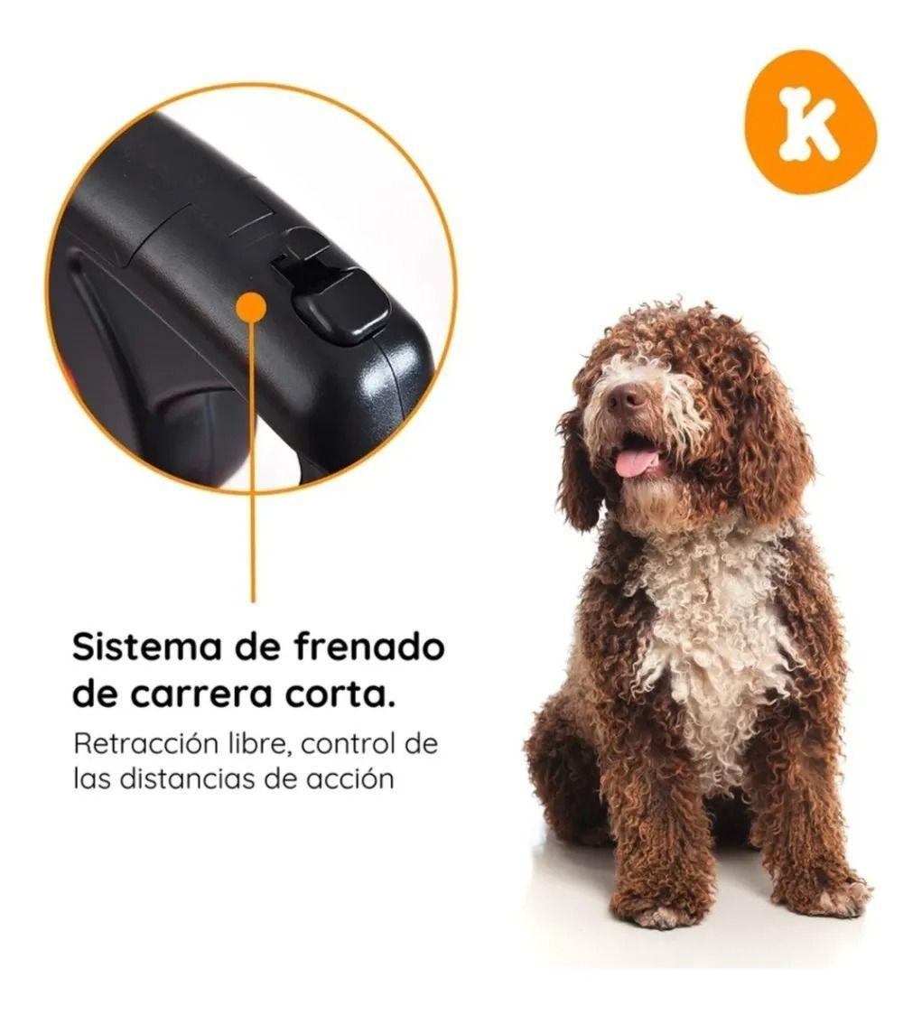 Correa Collar Para Mascota Retratil Con Linterna 5 Metros-2