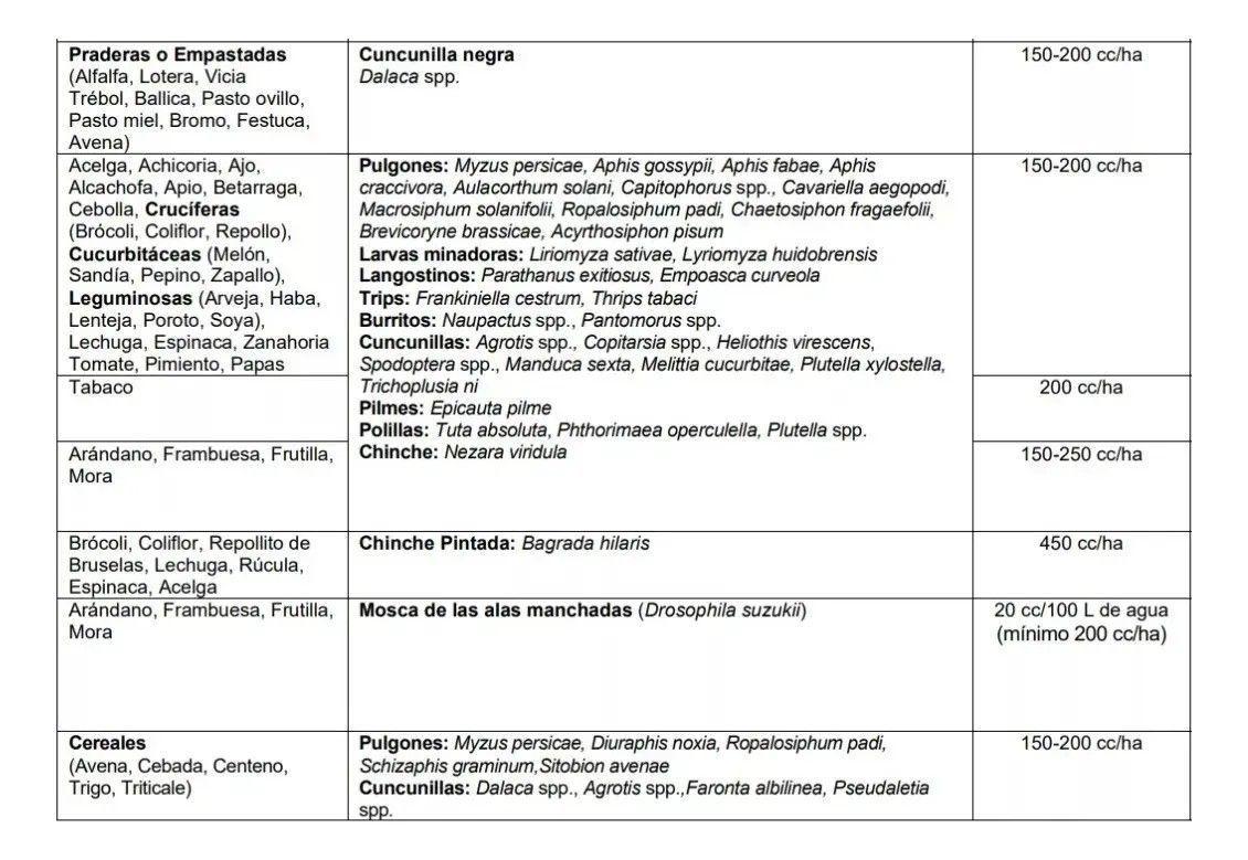 Control De Plagas Karate Con Tecnología Zeon 1 Litro-2