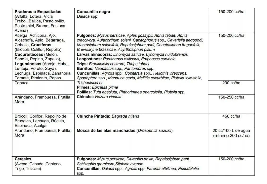 Control De Plagas Karate Con Tecnología Zeon 1 Litro-2