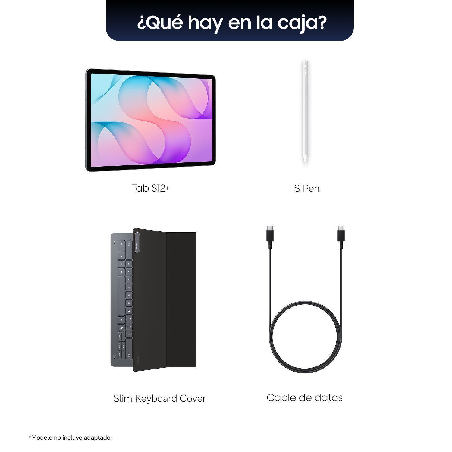 Galaxy Tab S12+ 256 GB Gray + S Pen-6