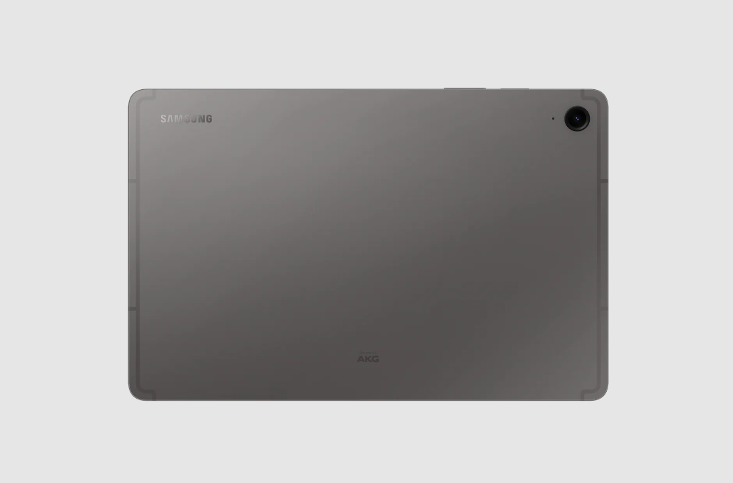 Samsung Galaxy TAB S9 FEGris-1