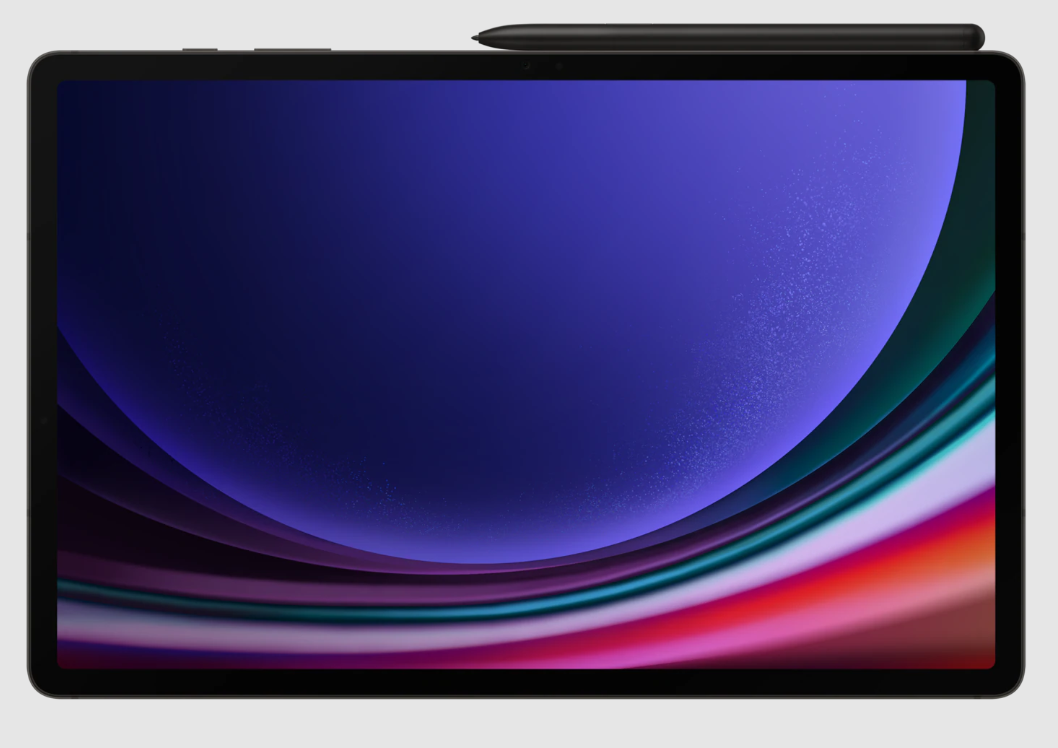 Samsung Galaxy TAB S9+Gris-0