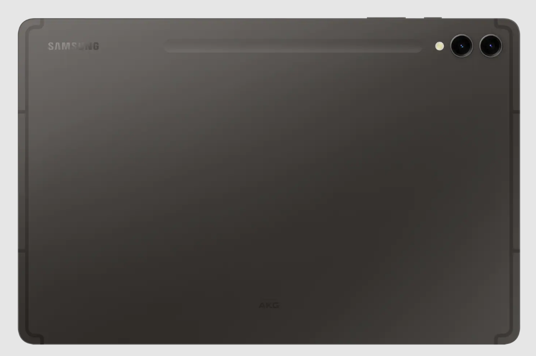 Samsung Galaxy TAB S9+Gris-1