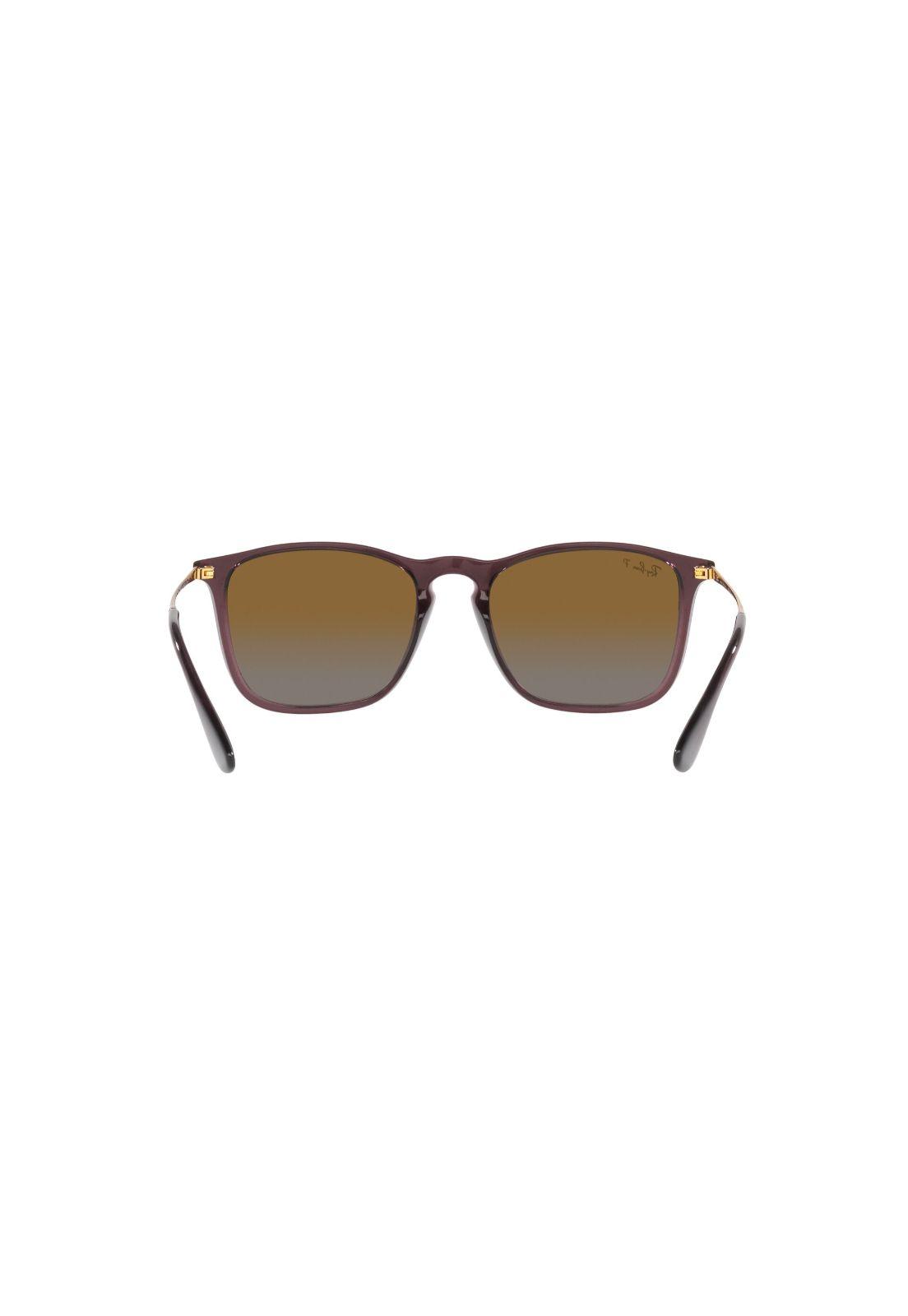 Lentes de Sol Chris Marrón Traslúcido Polarizados Ray-Ban-6