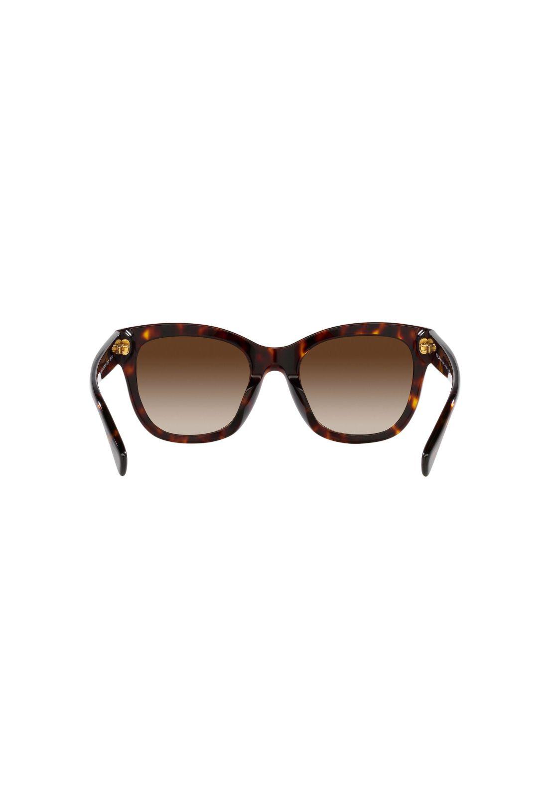 Lentes de Sol Shiny Dark Havana Ralph-6