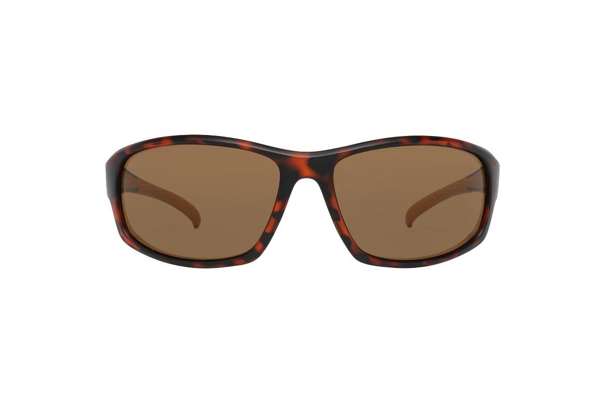 Lentes de Sol Marron Timberland TB718949E65-0