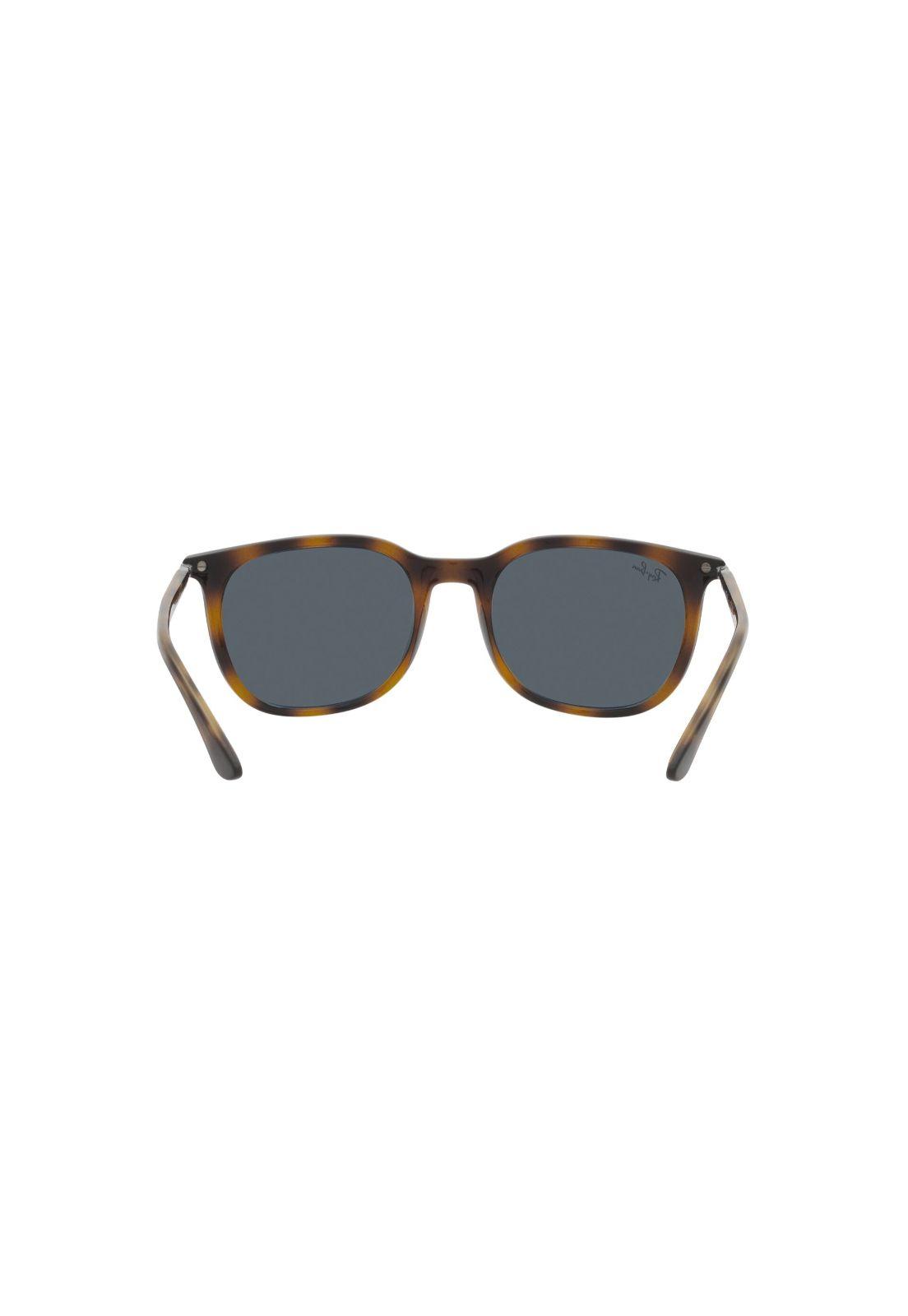 Lentes de Sol Havana Ray-Ban RB4386710R5-6