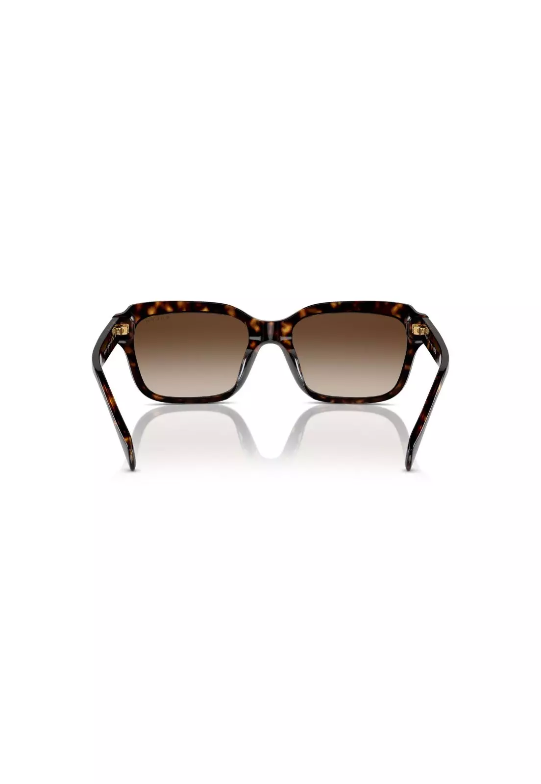 Lentes de Sol Havana Degradados Ralph RA5312U500313-3