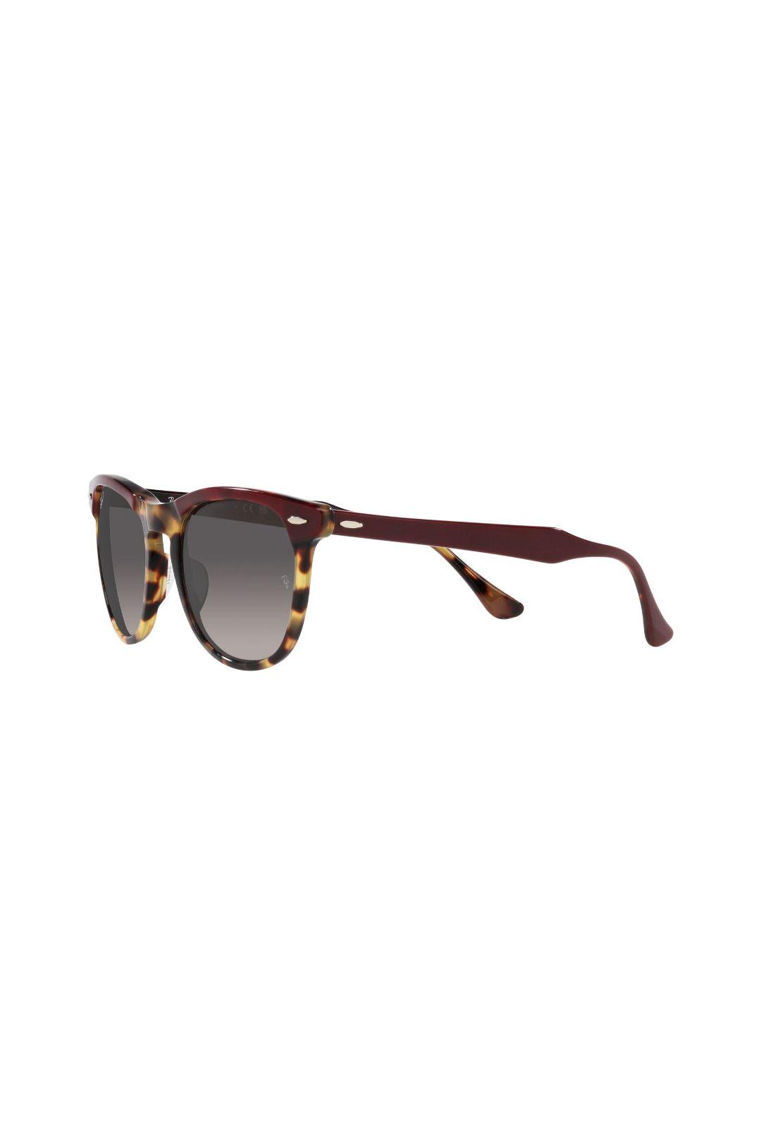 Lentes de Sol Eagleeye Havana Polarizados Ray-Ban-2